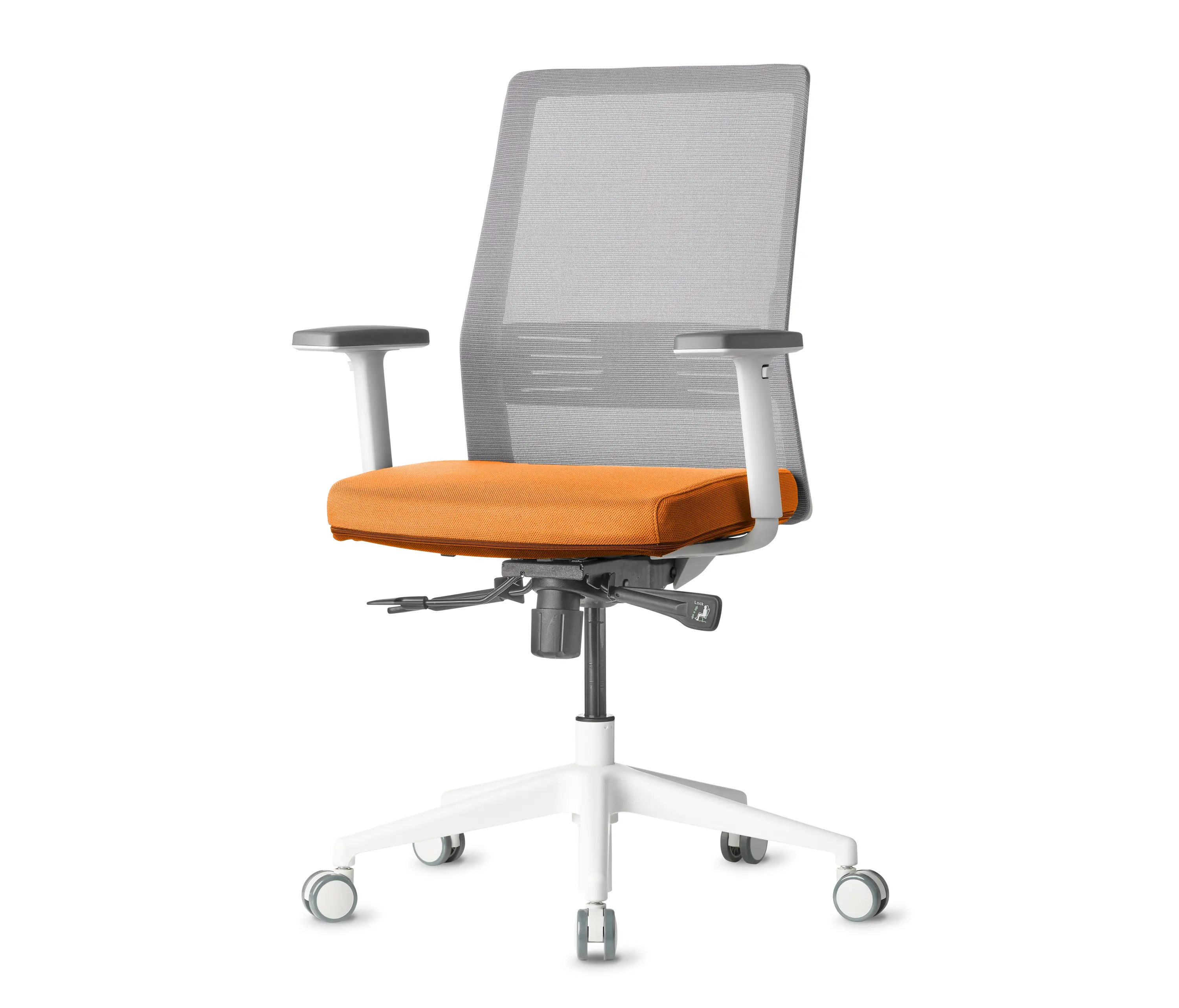 AMQ Solutions - Work | Bodi