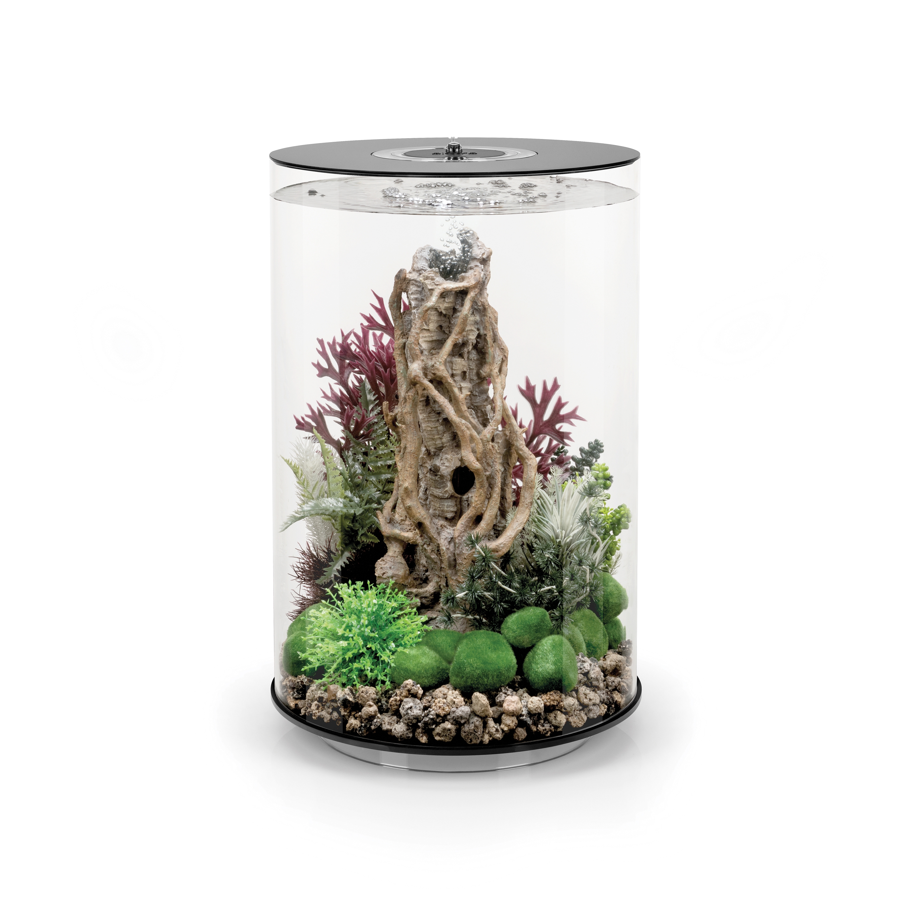 Produkt biOrb TUBE des Herstellers Oase anzeigen