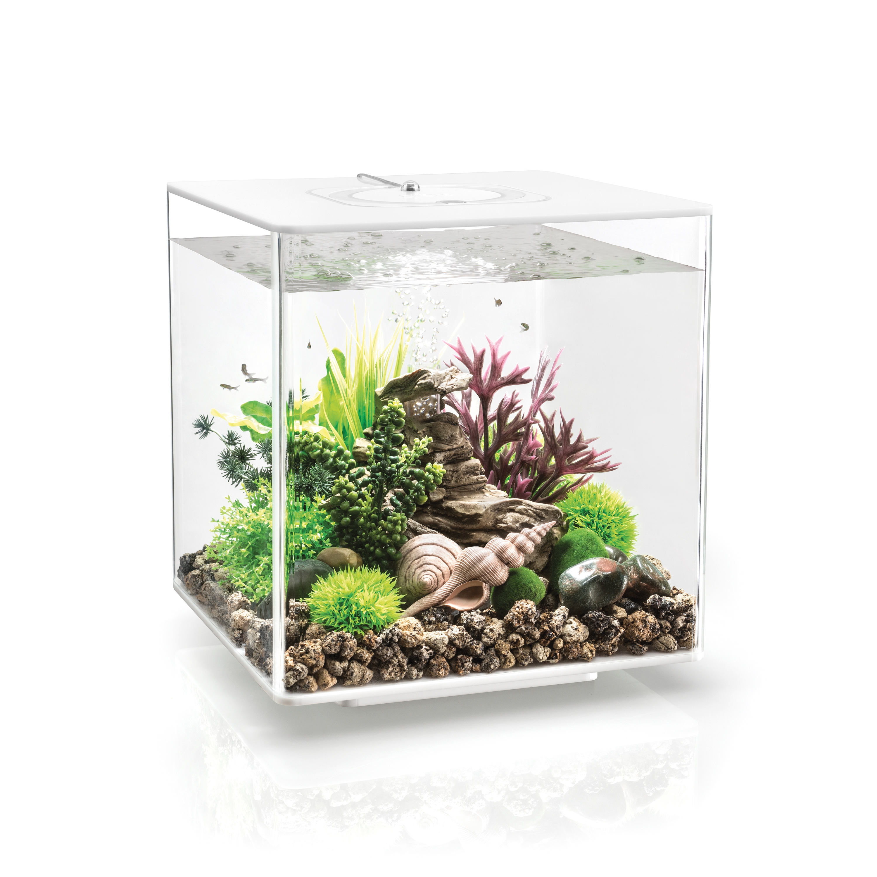 Produkt biOrb CUBE des Herstellers Oase anzeigen