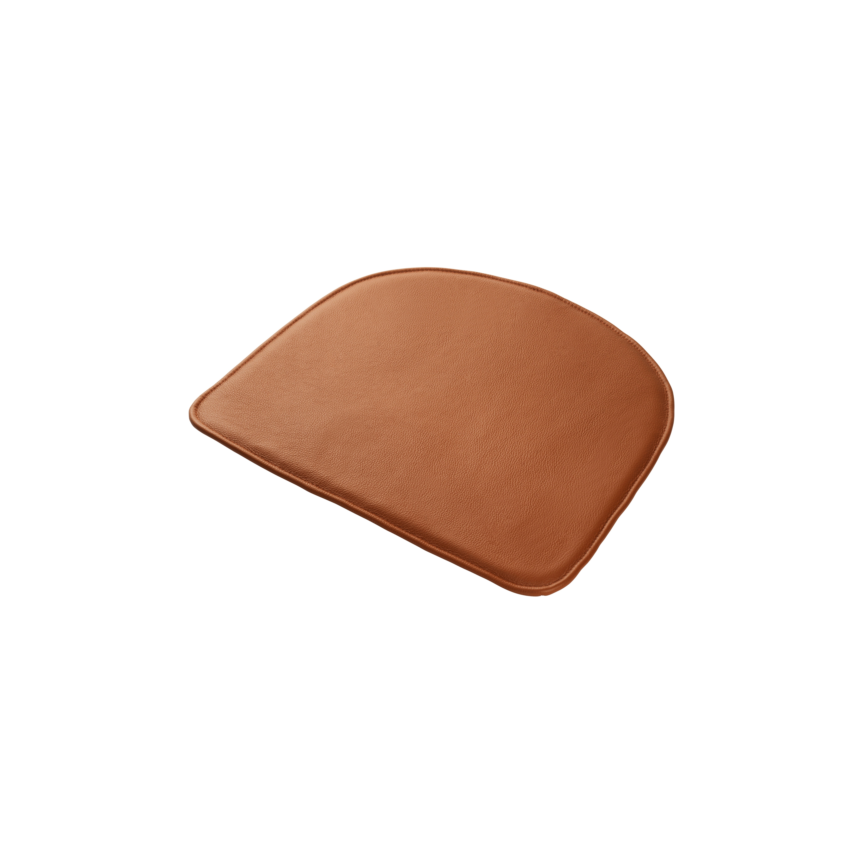 Nøje | R5 Leather Cushion