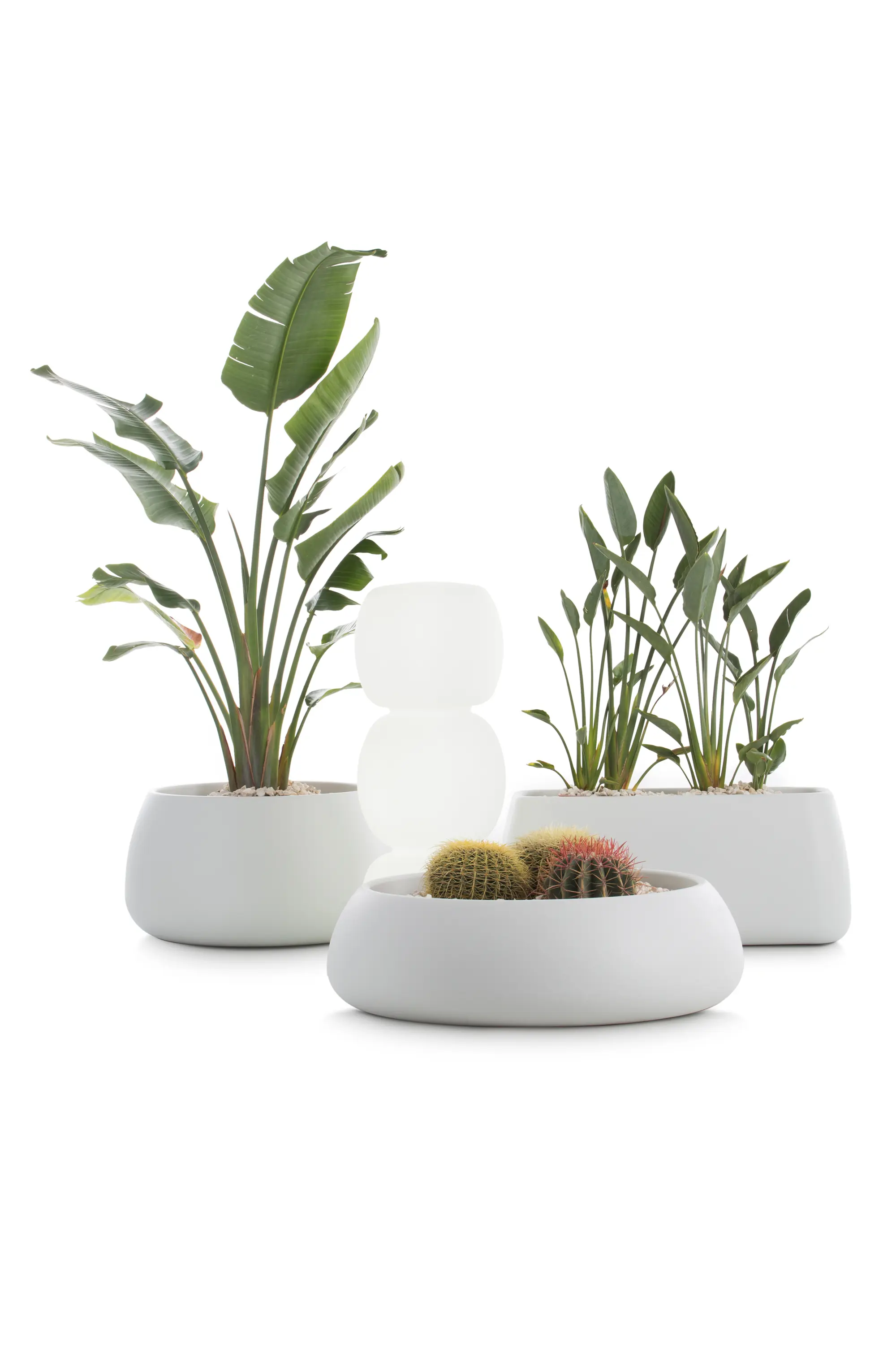 Diabla - Gobi Plant Pot 1