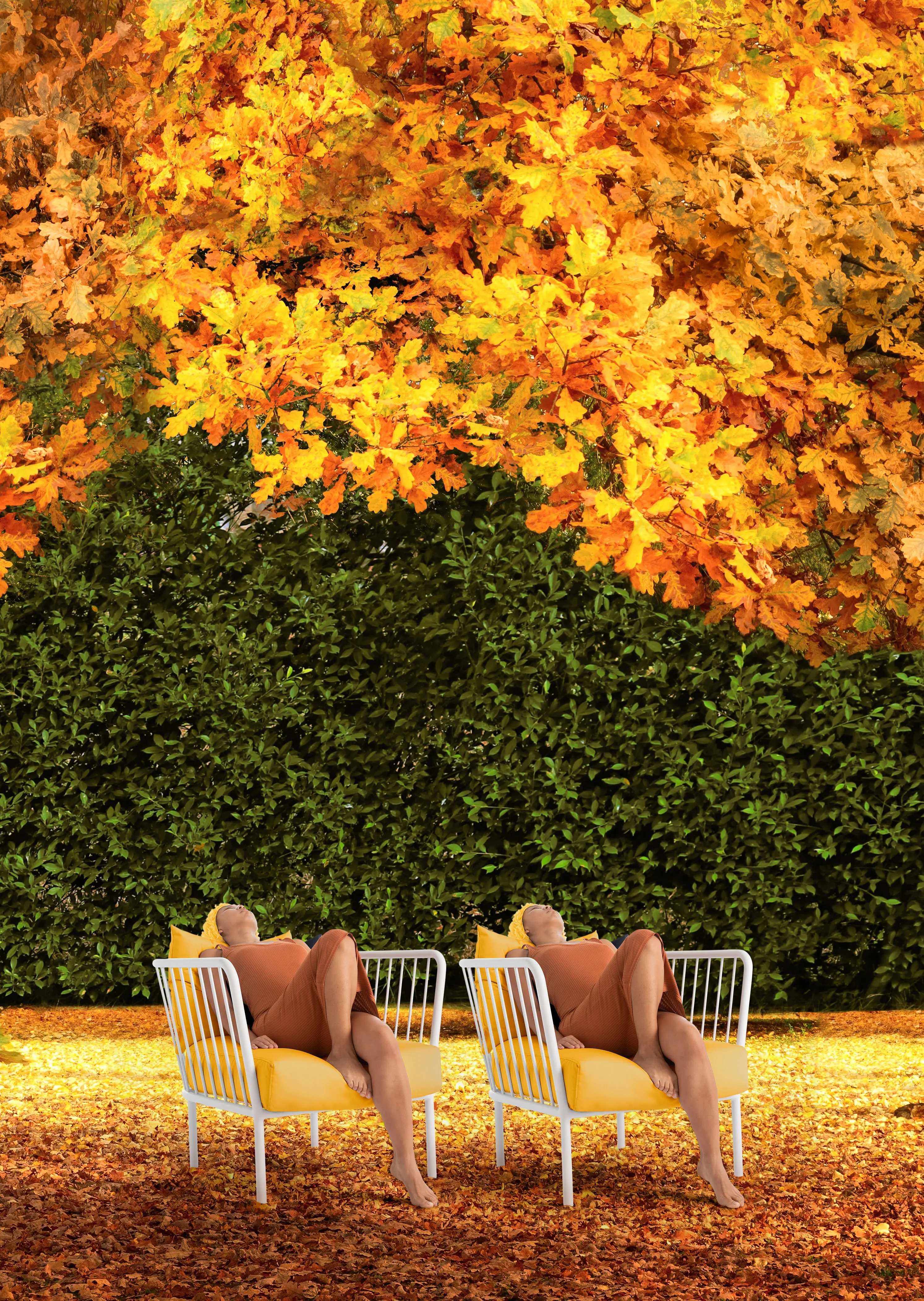 Diabla - Arp Cushion