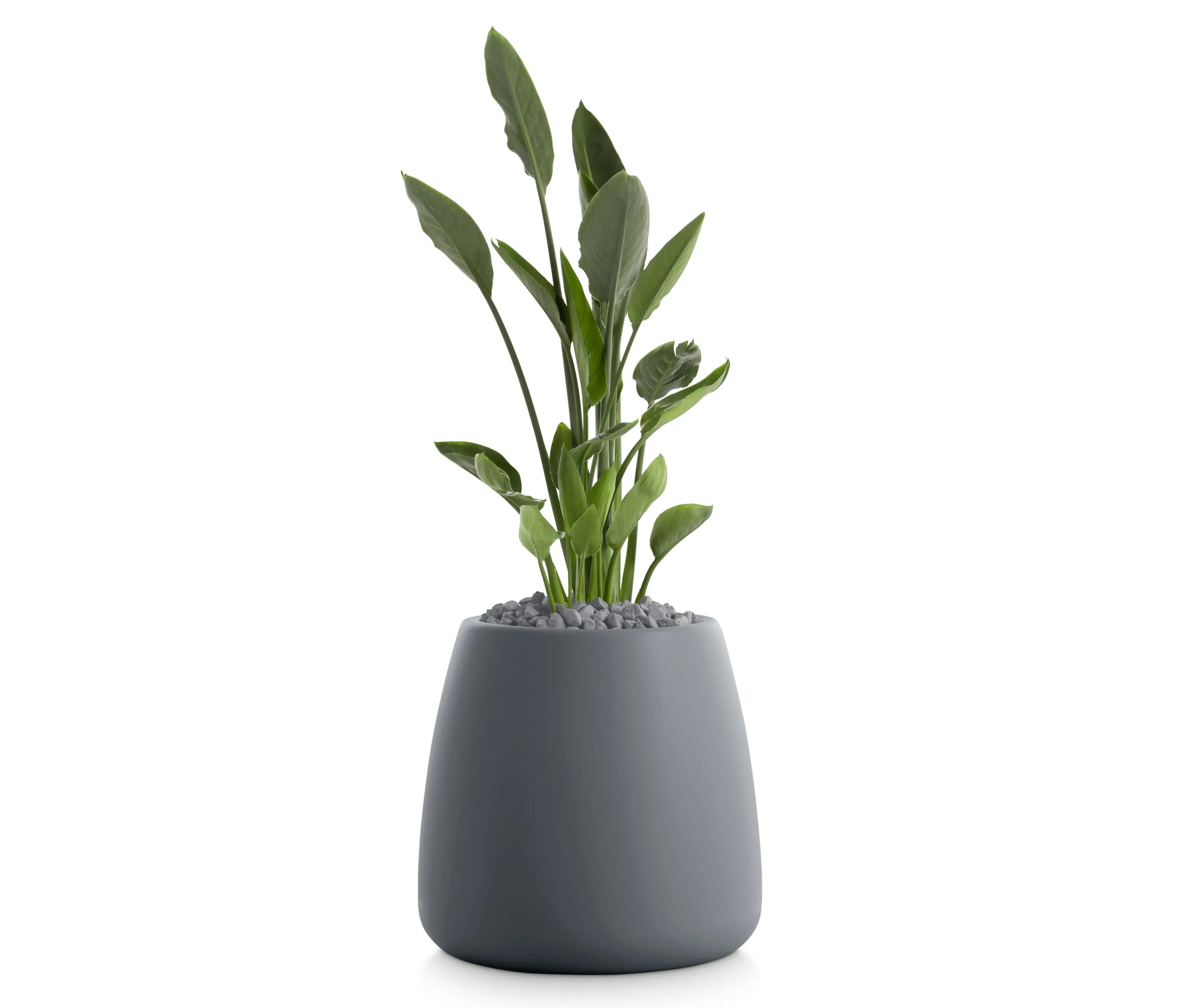 Diabla - Gobi Plant Pot 1