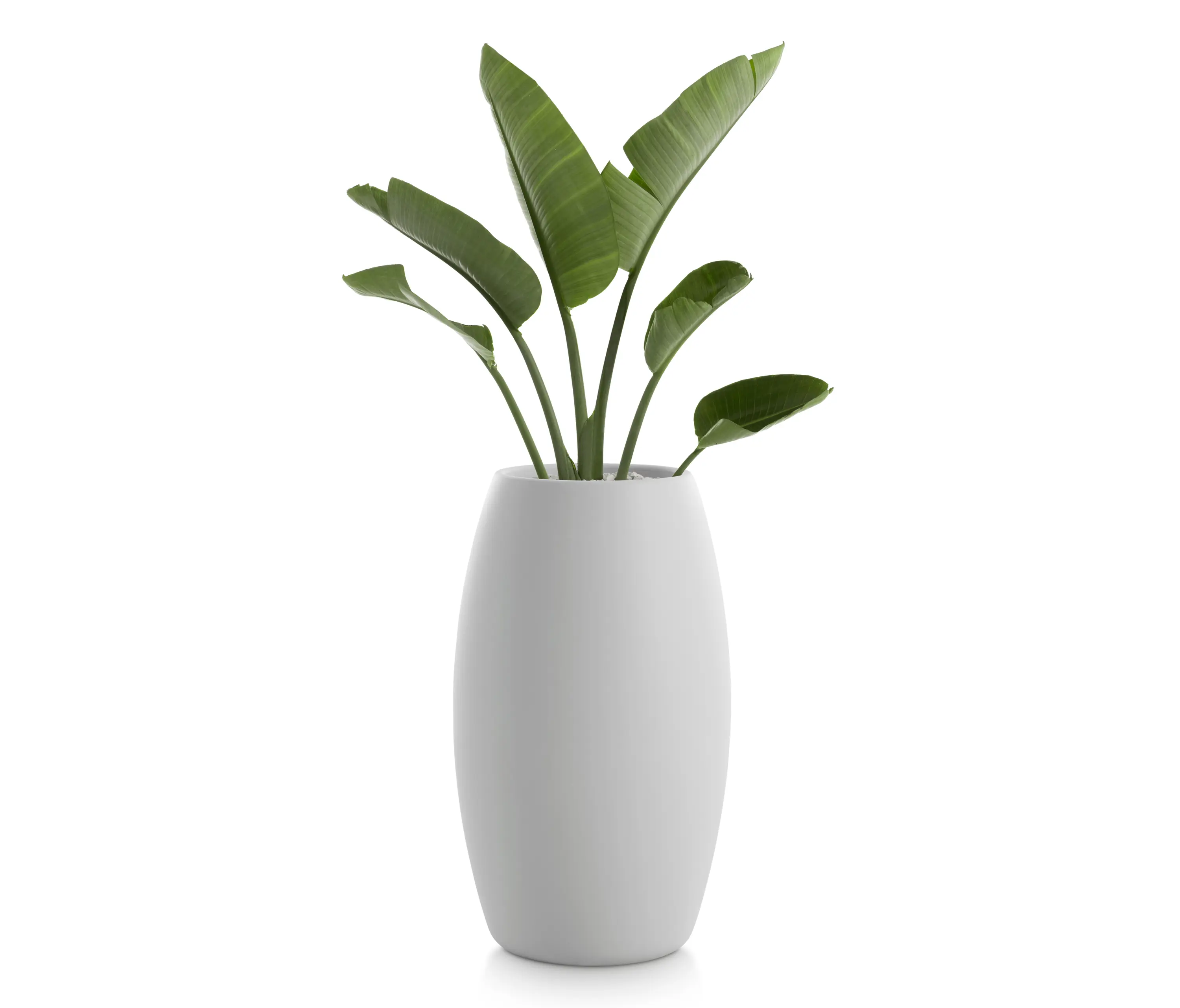 Diabla - Gobi Plant Pot 2