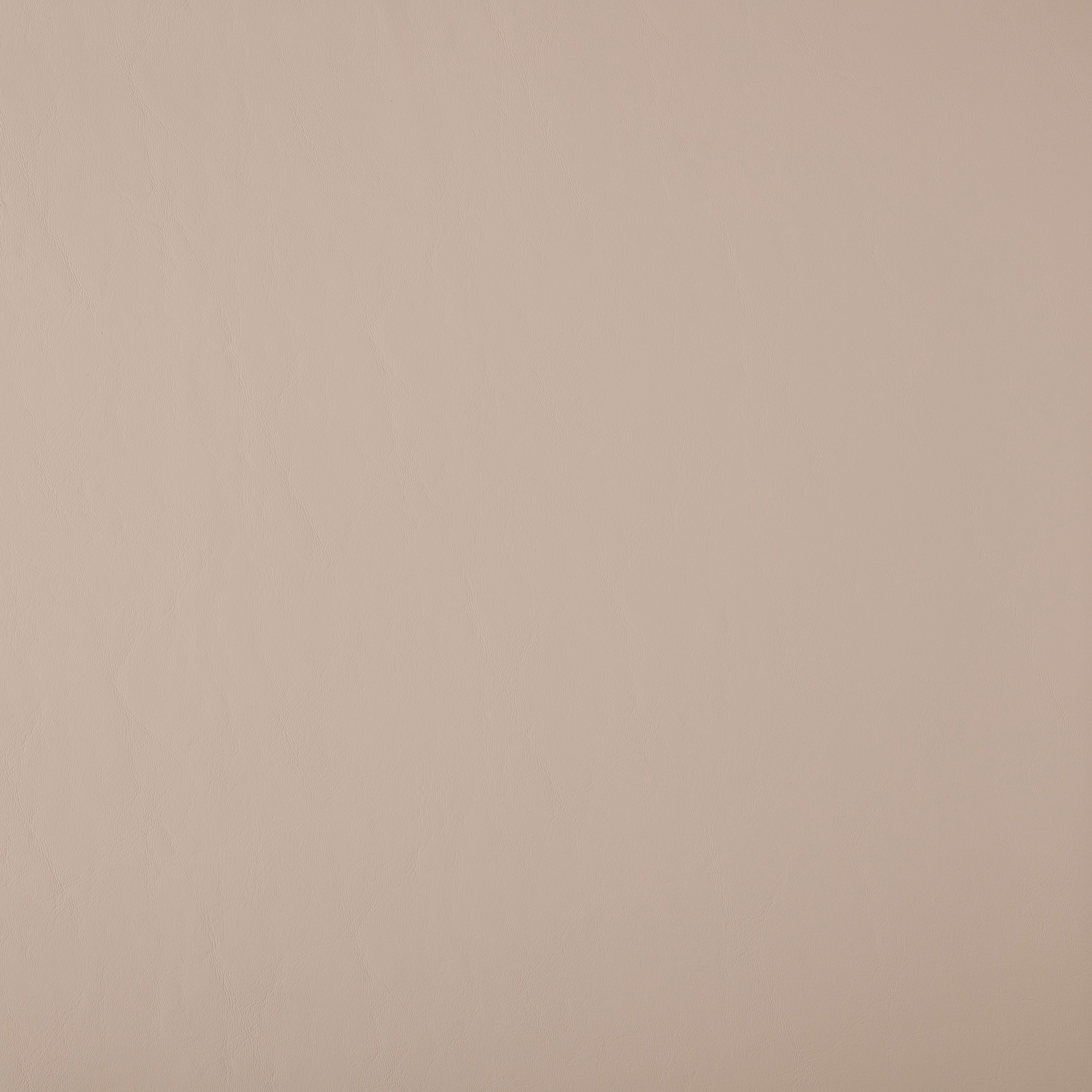 Allante | Cream