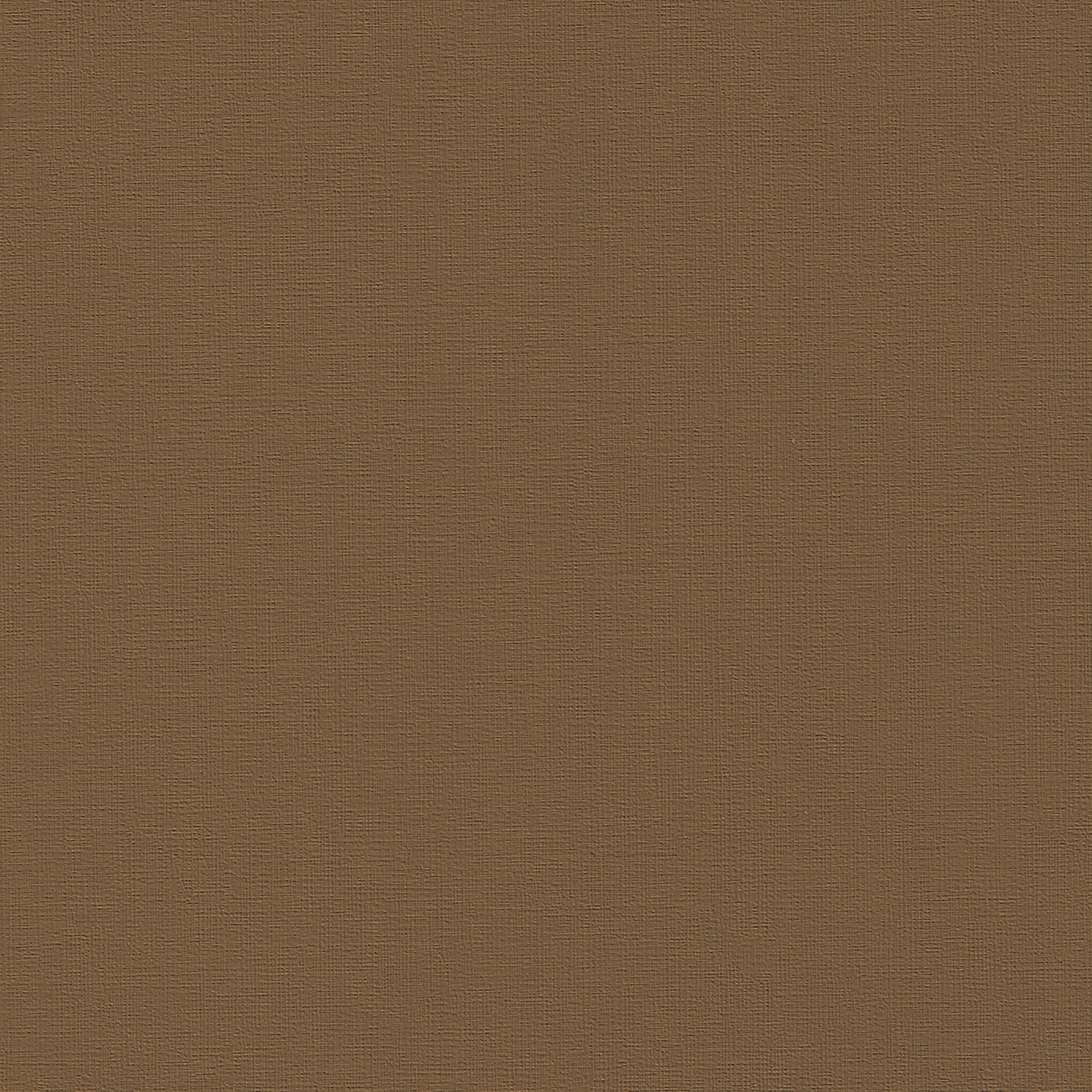 Bayside | Empire Tan