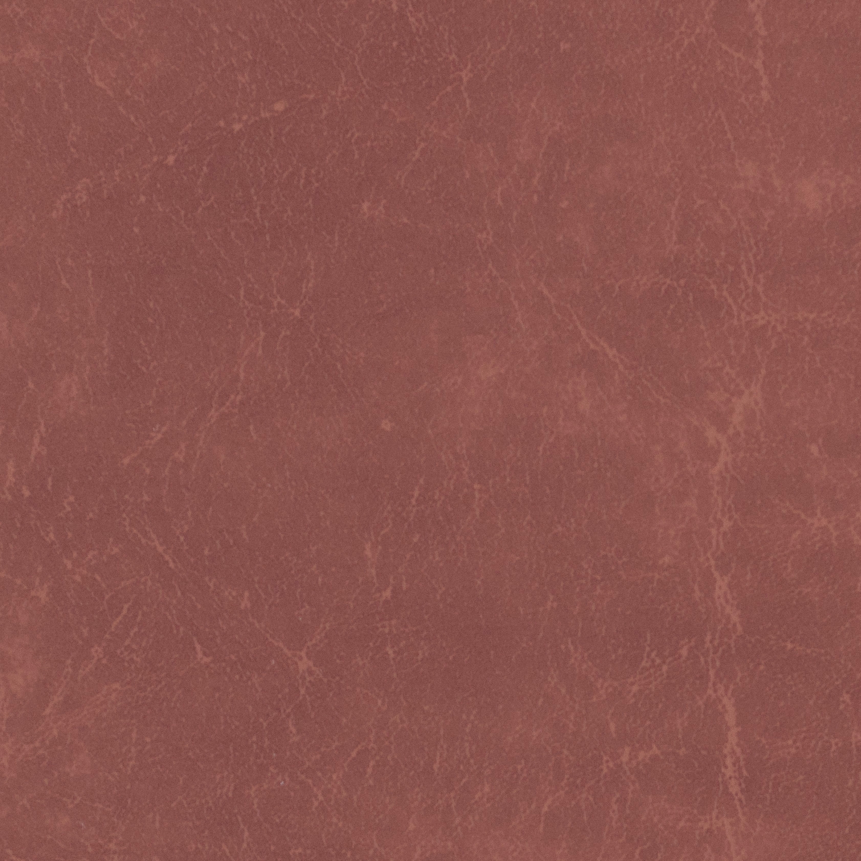 Carrara  | Buck