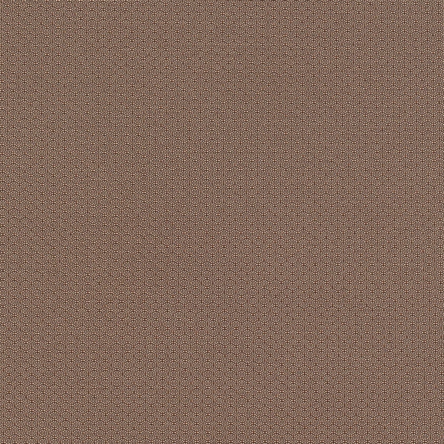Edge | Bronze