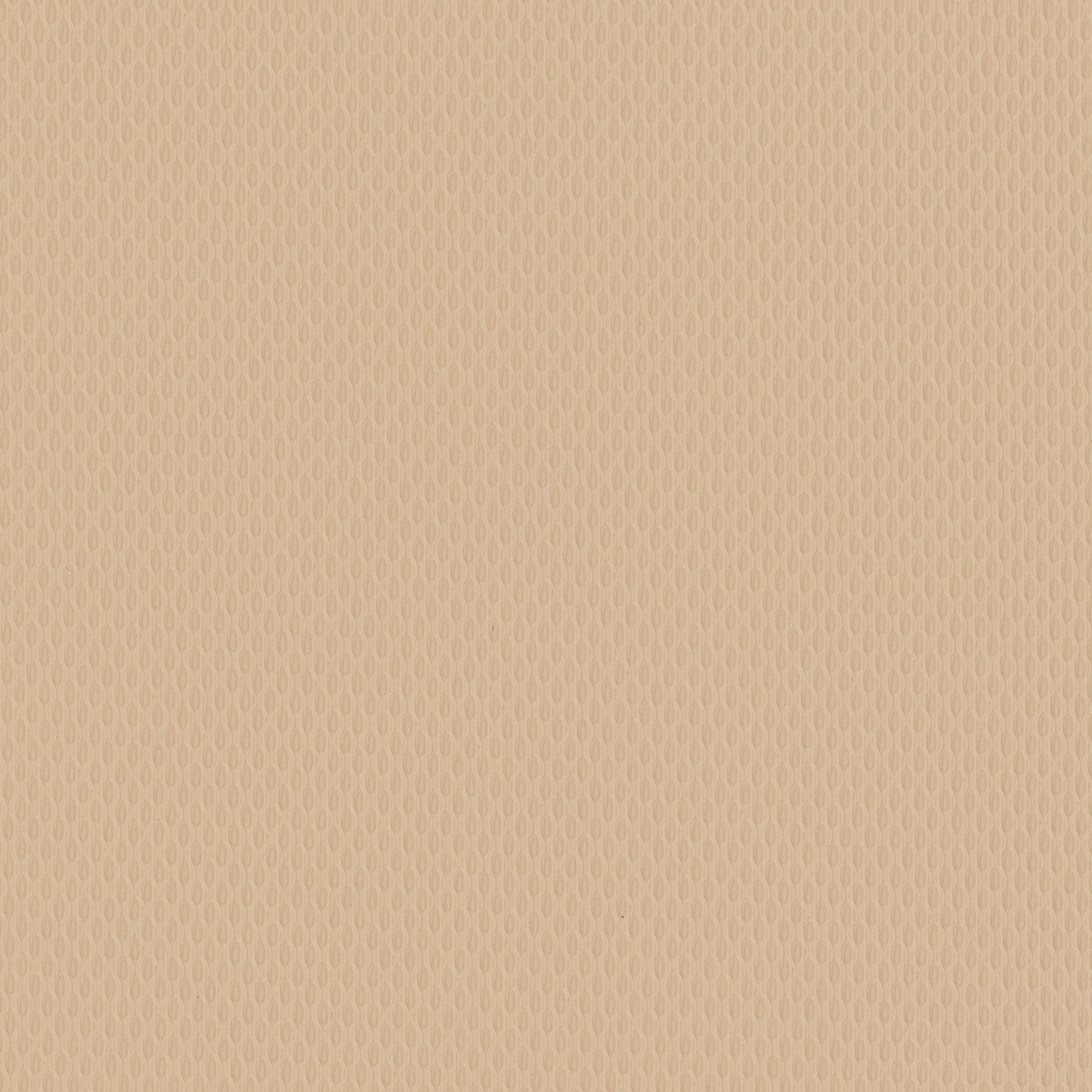 Kixx | Cream