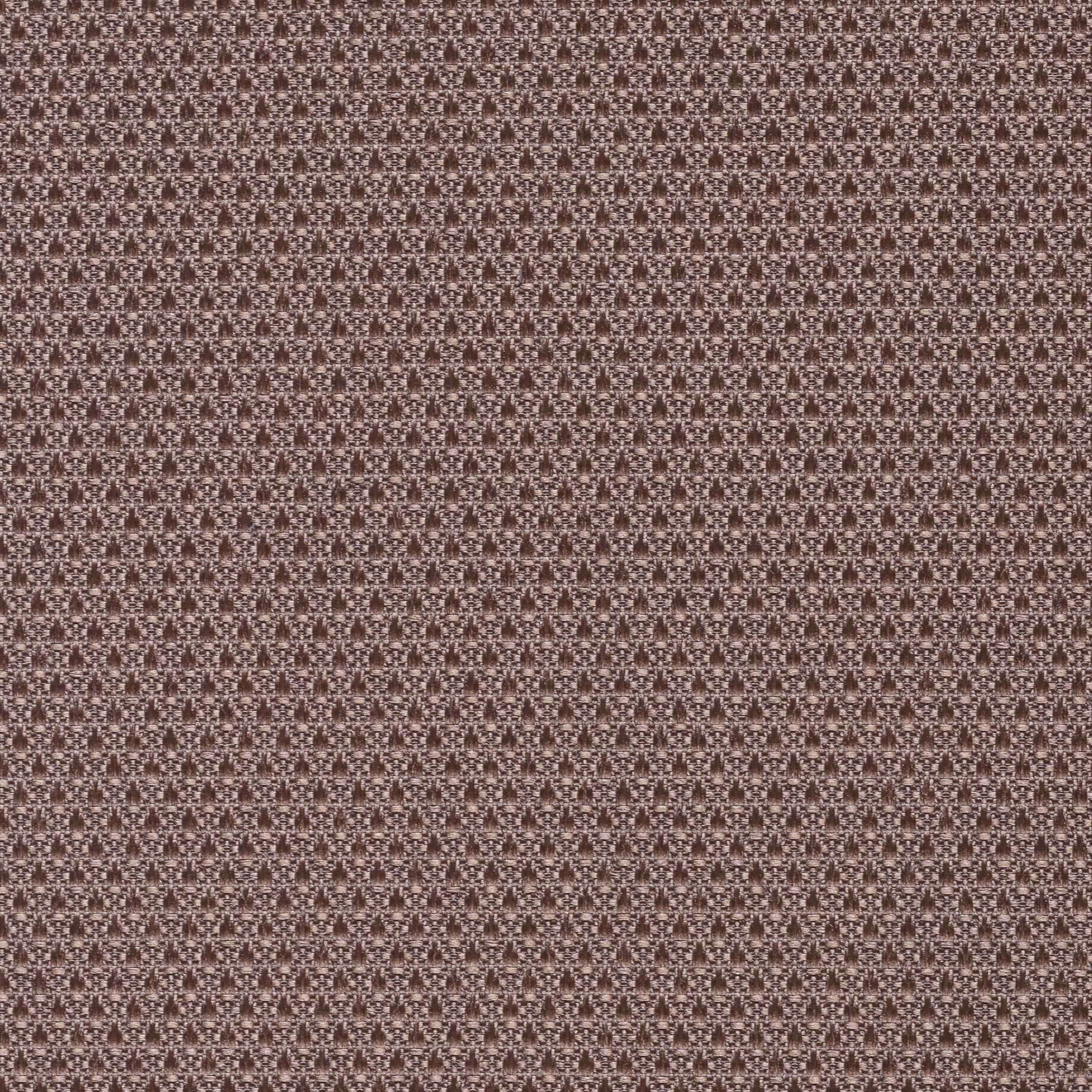 Mor-Tex | Tan