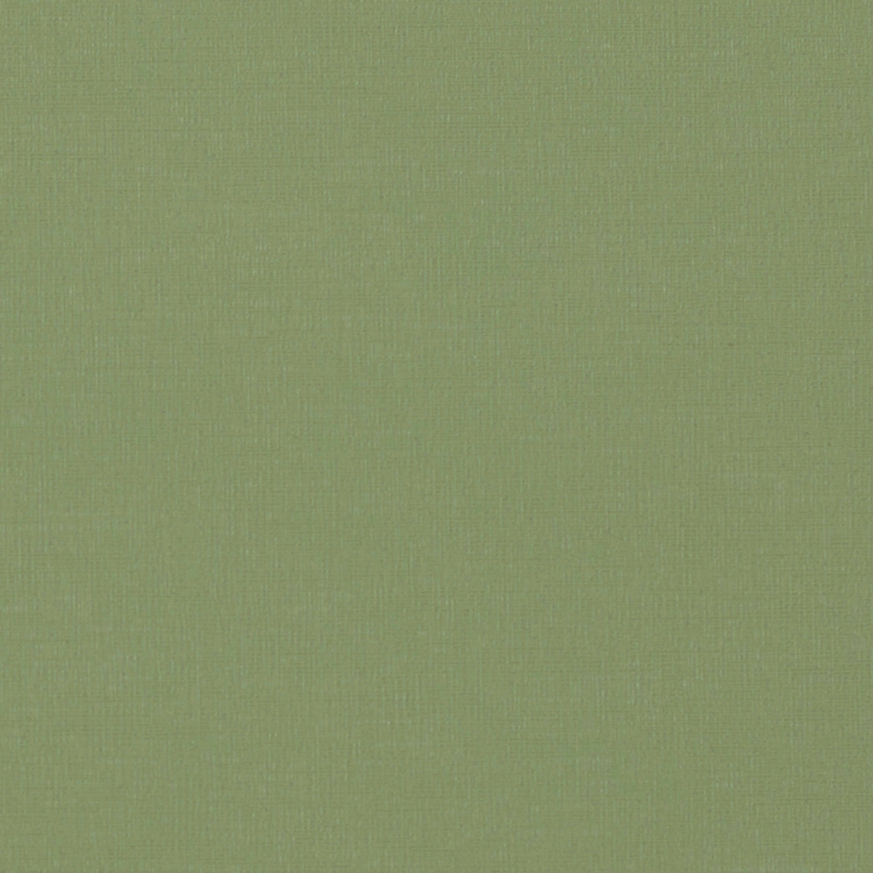 Nomad | Limeade