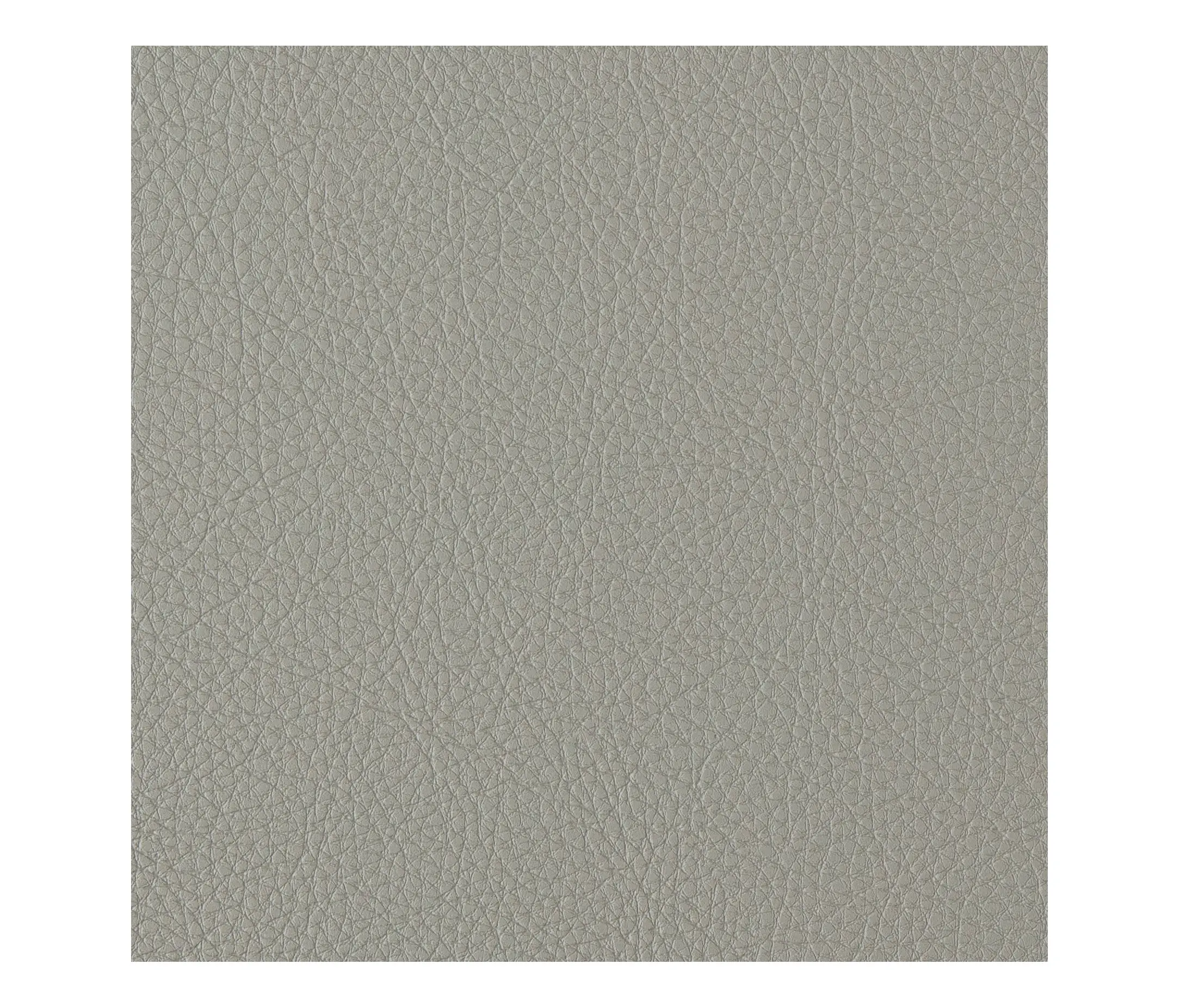 Morbern Europe - Prodigy | Basil