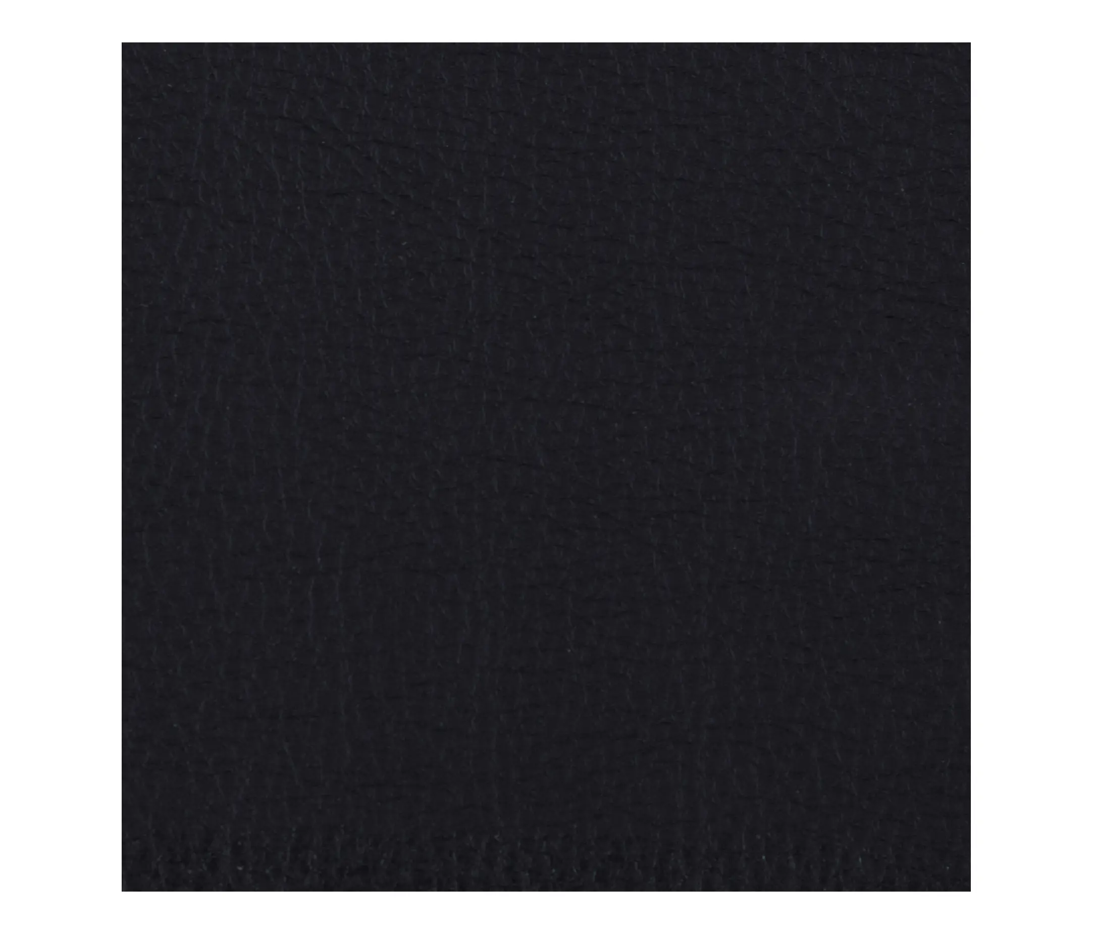 Morbern Europe - Prodigy | Black