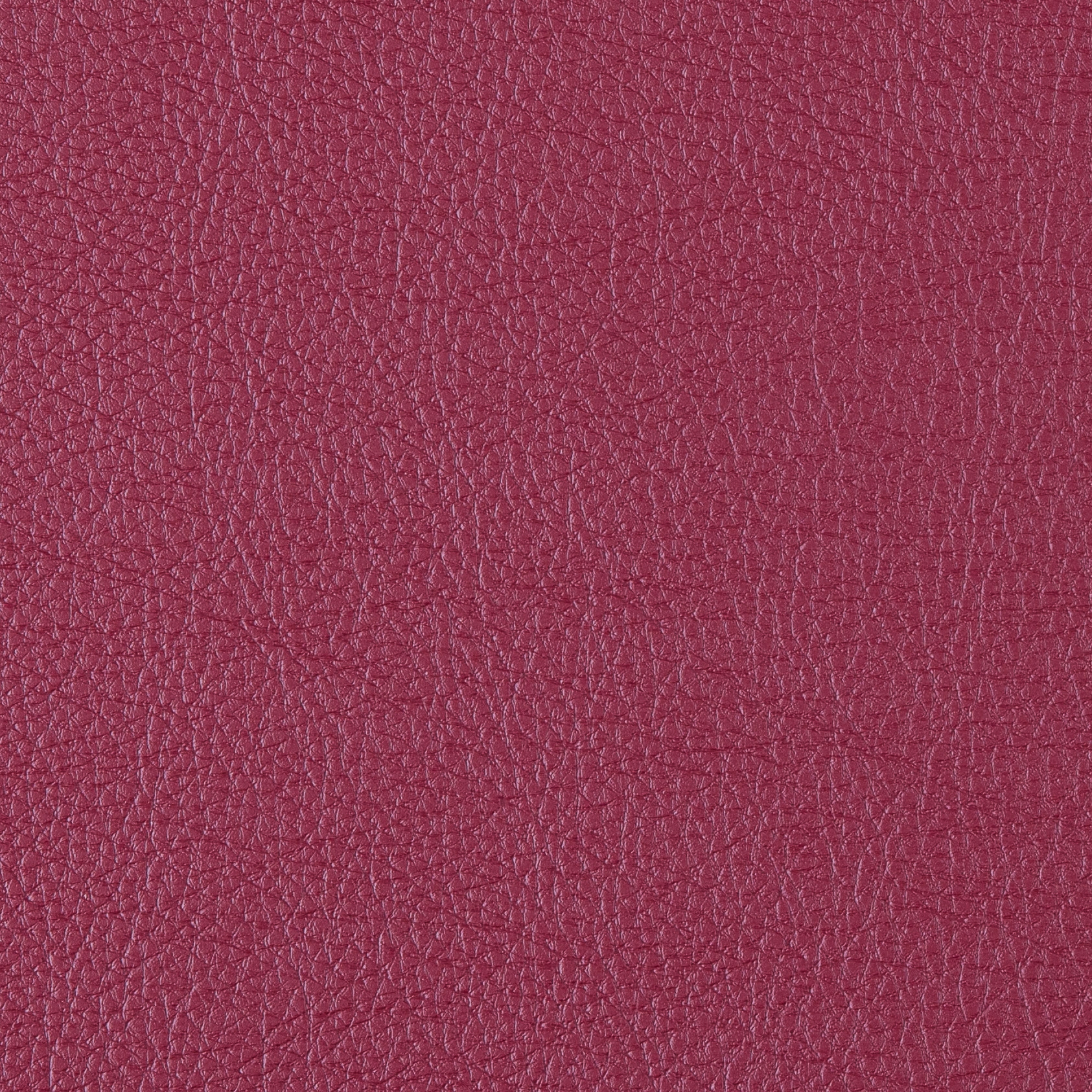 Prodigy | Crimson