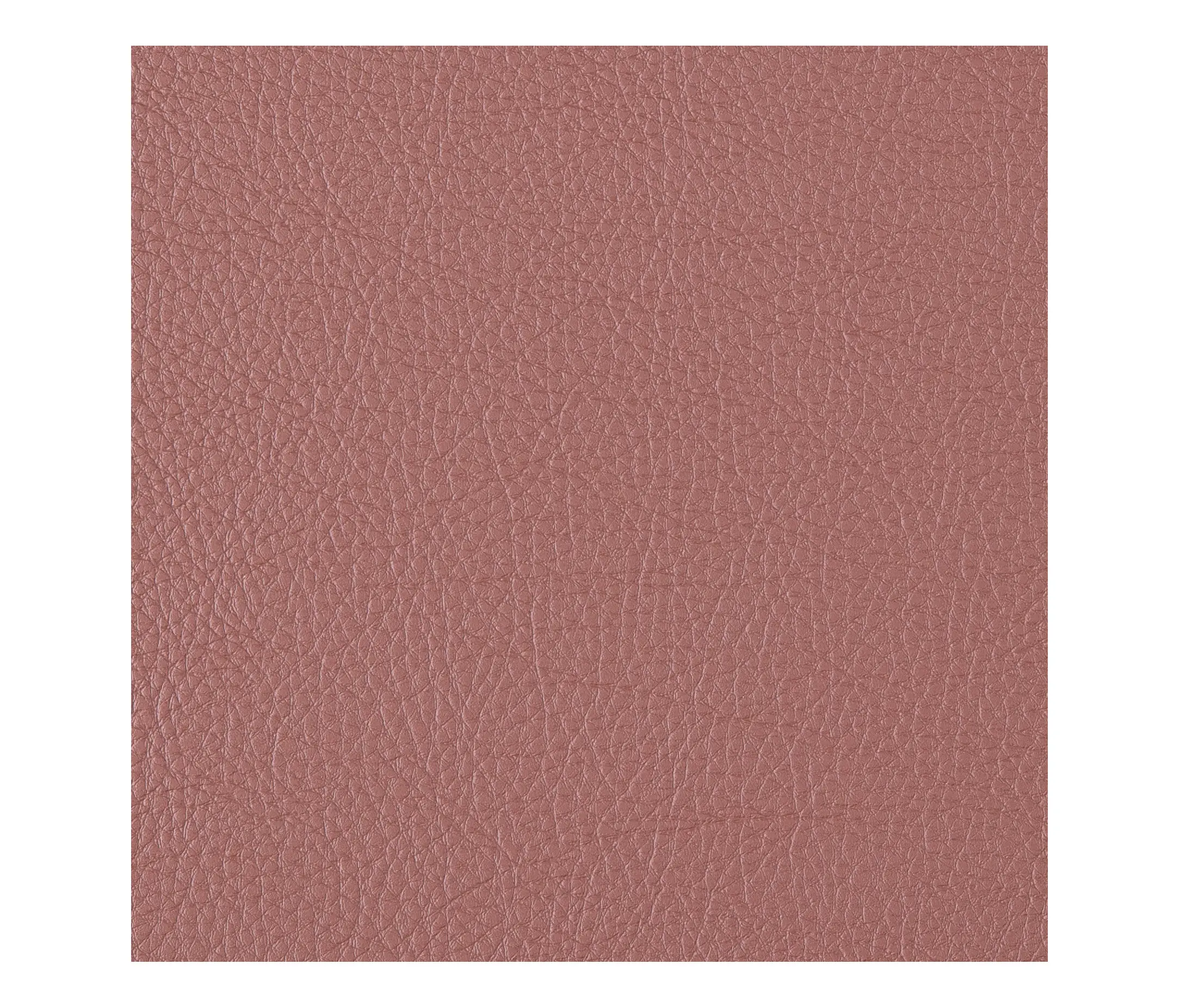 Morbern Europe - Prodigy | Equestrian