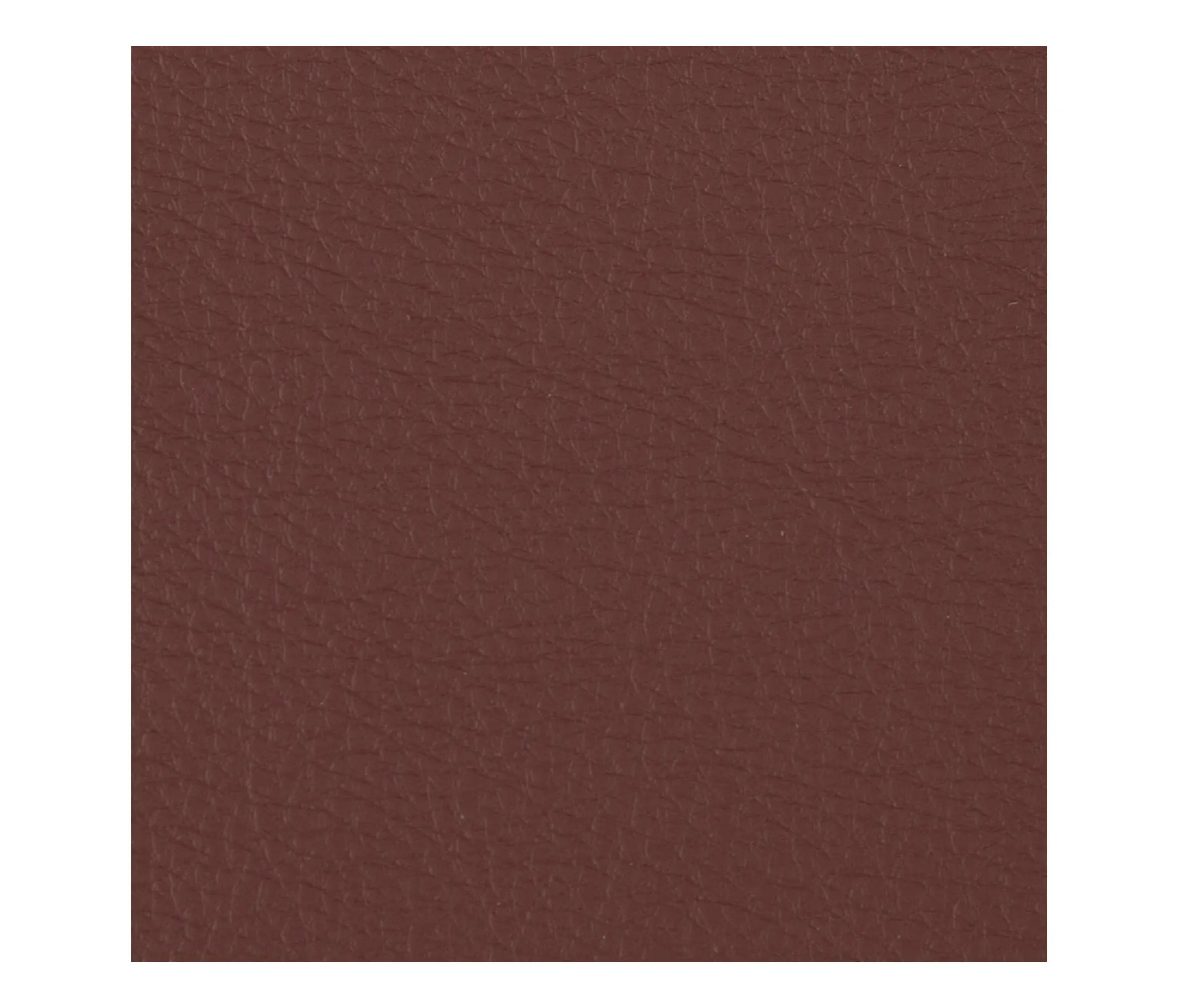 Morbern Europe - Prodigy | Java