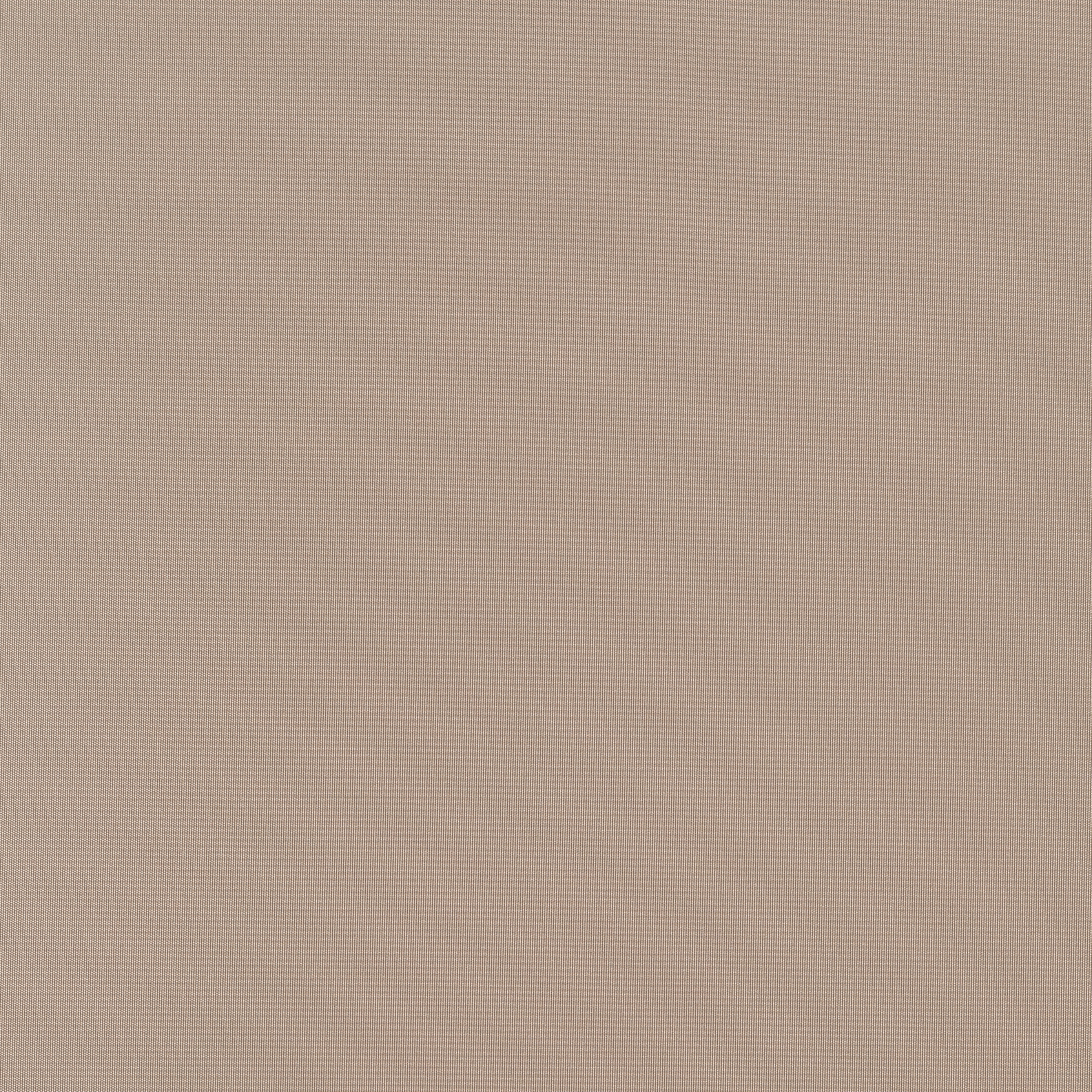 Rush | Bronze Mist