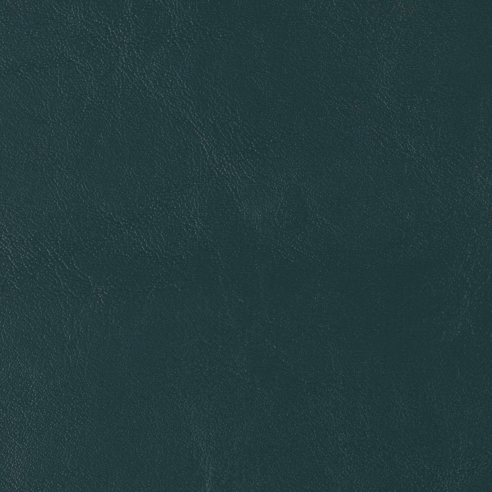 Seabrook | Forest