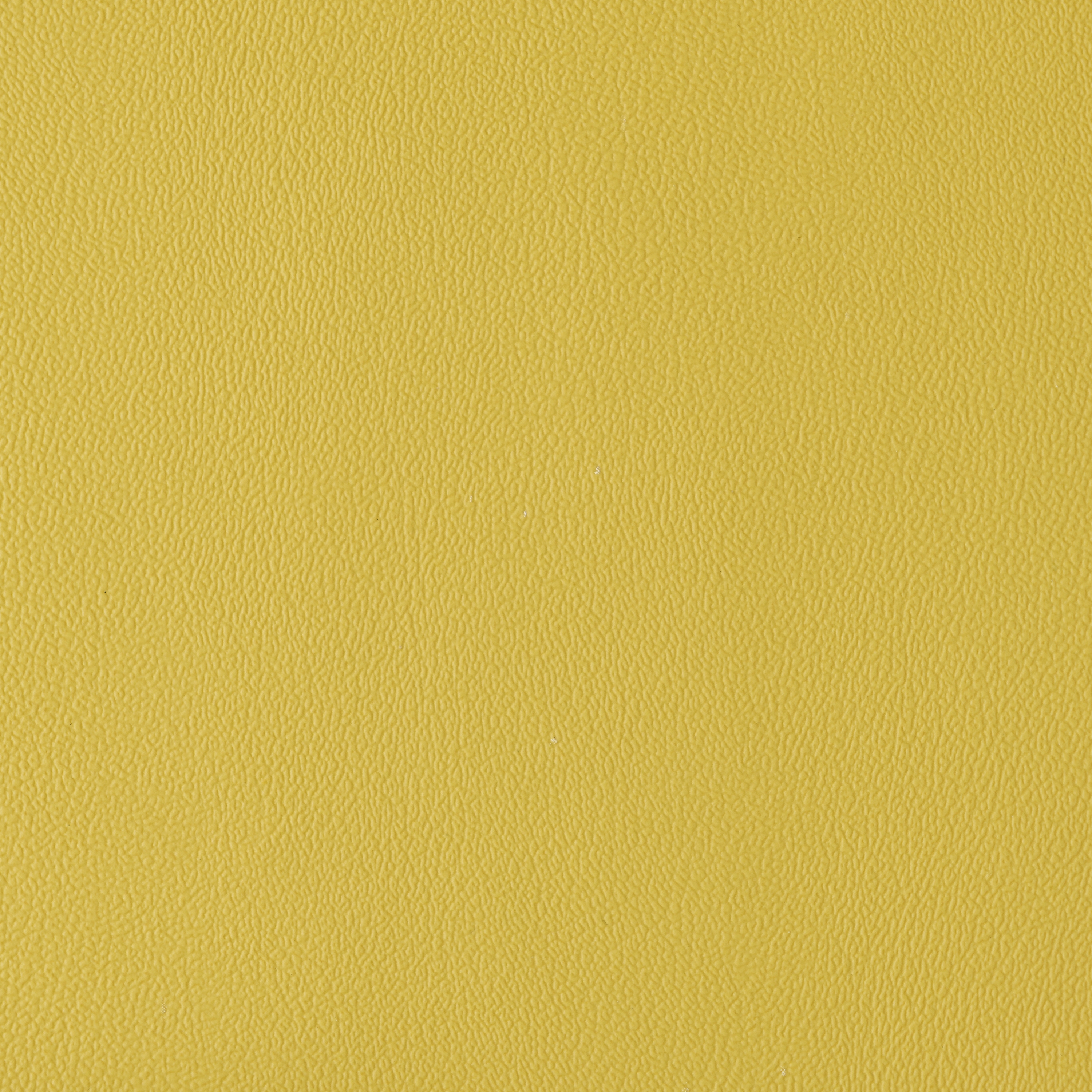 Ambience | Bamboo