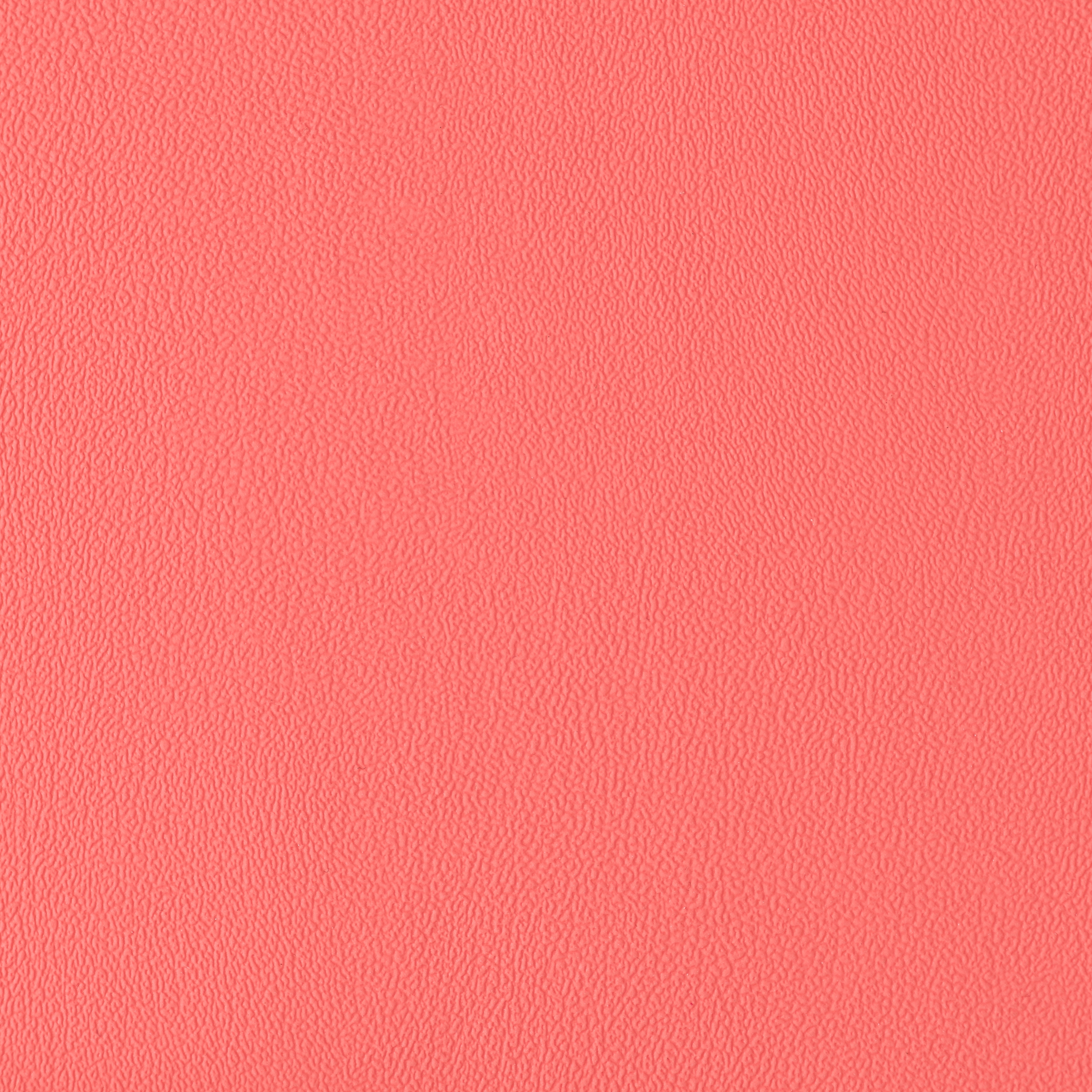 Ambience | Coral