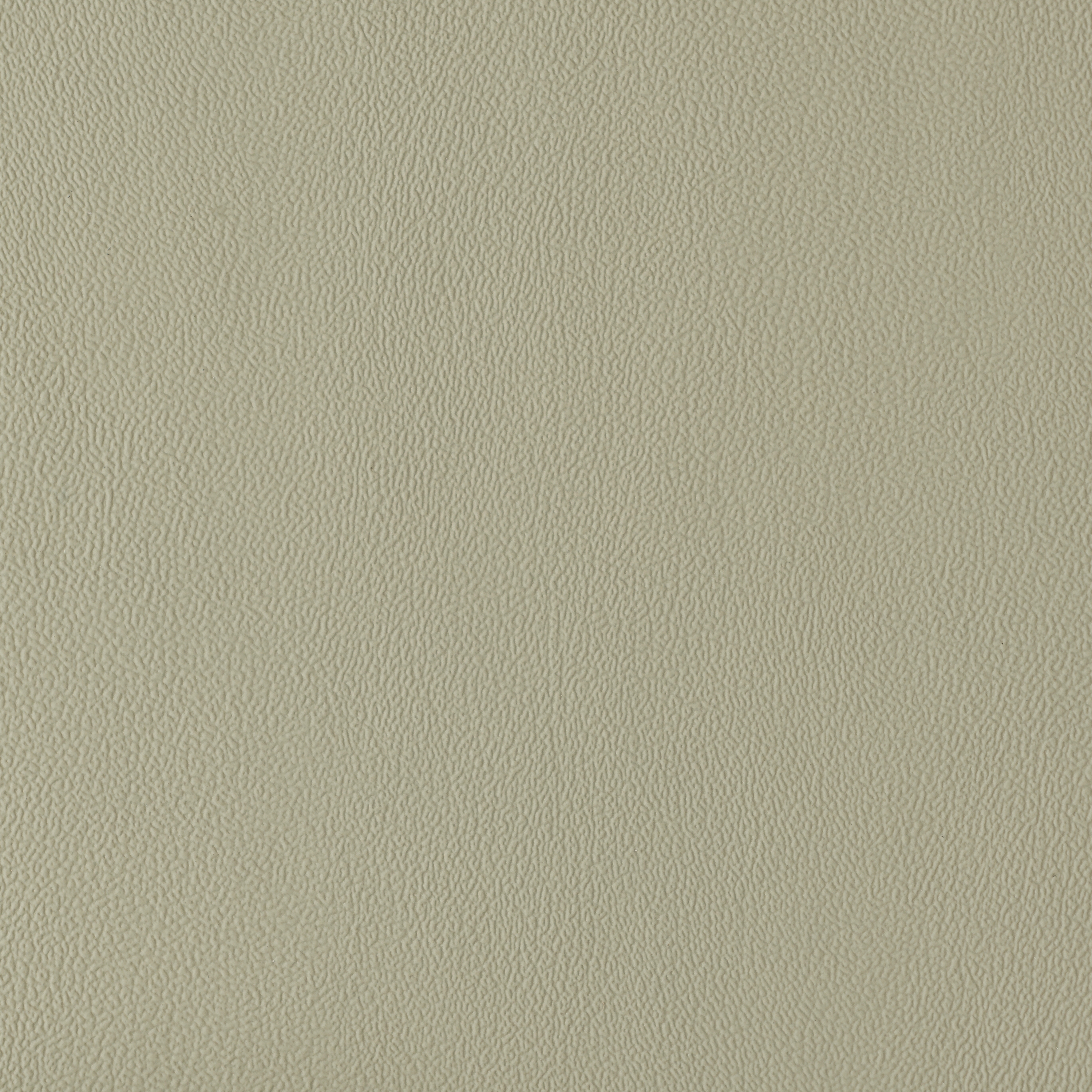 Ambience | Eucalyptus