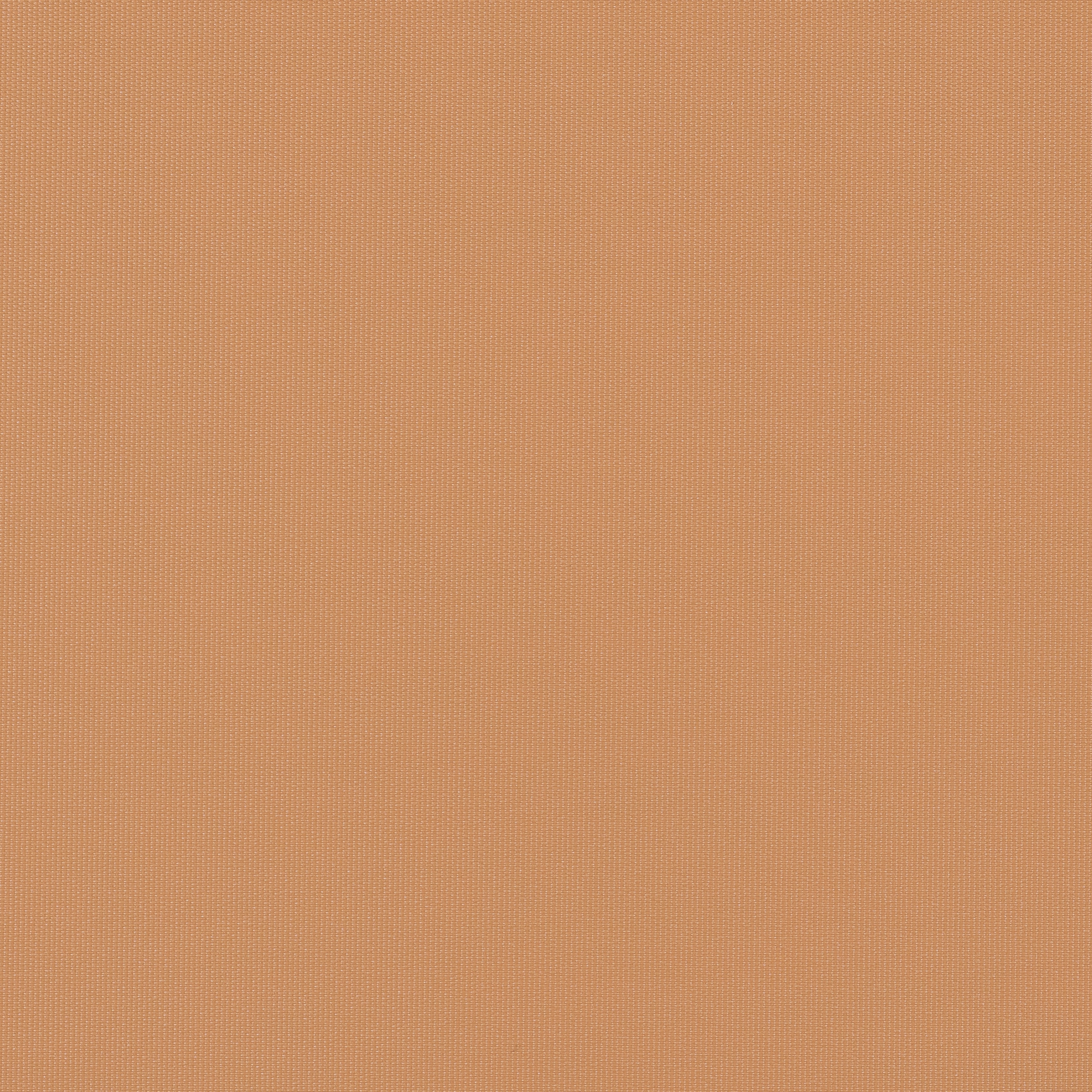 Sundance | Bisque