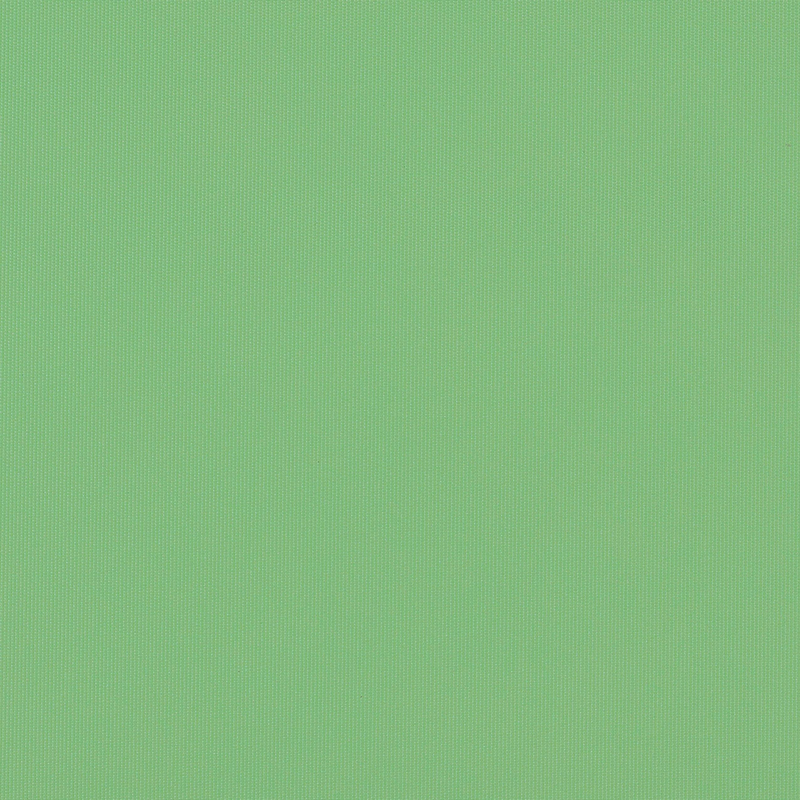 Sundance | Chartreuse
