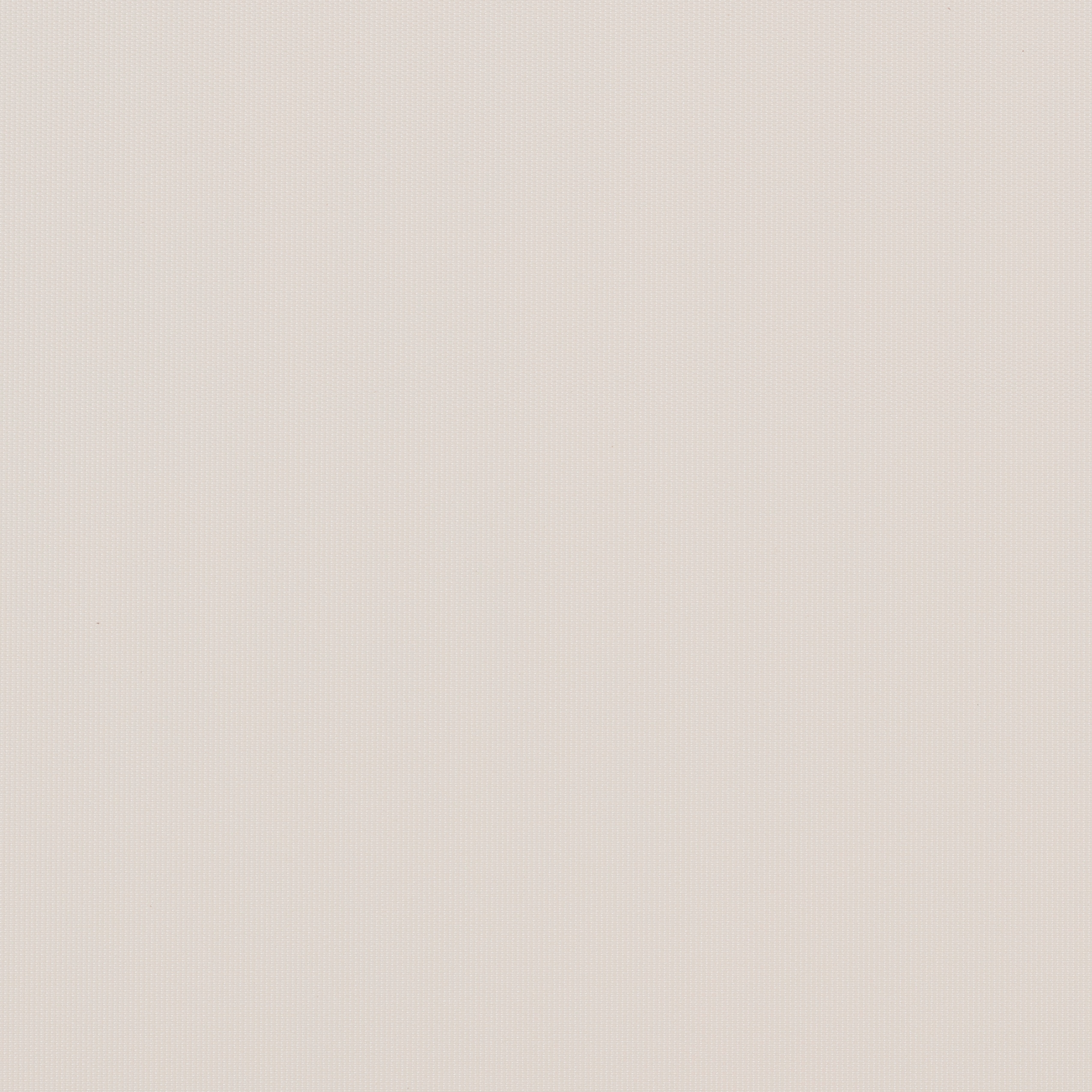 Sundance | Cornsilk