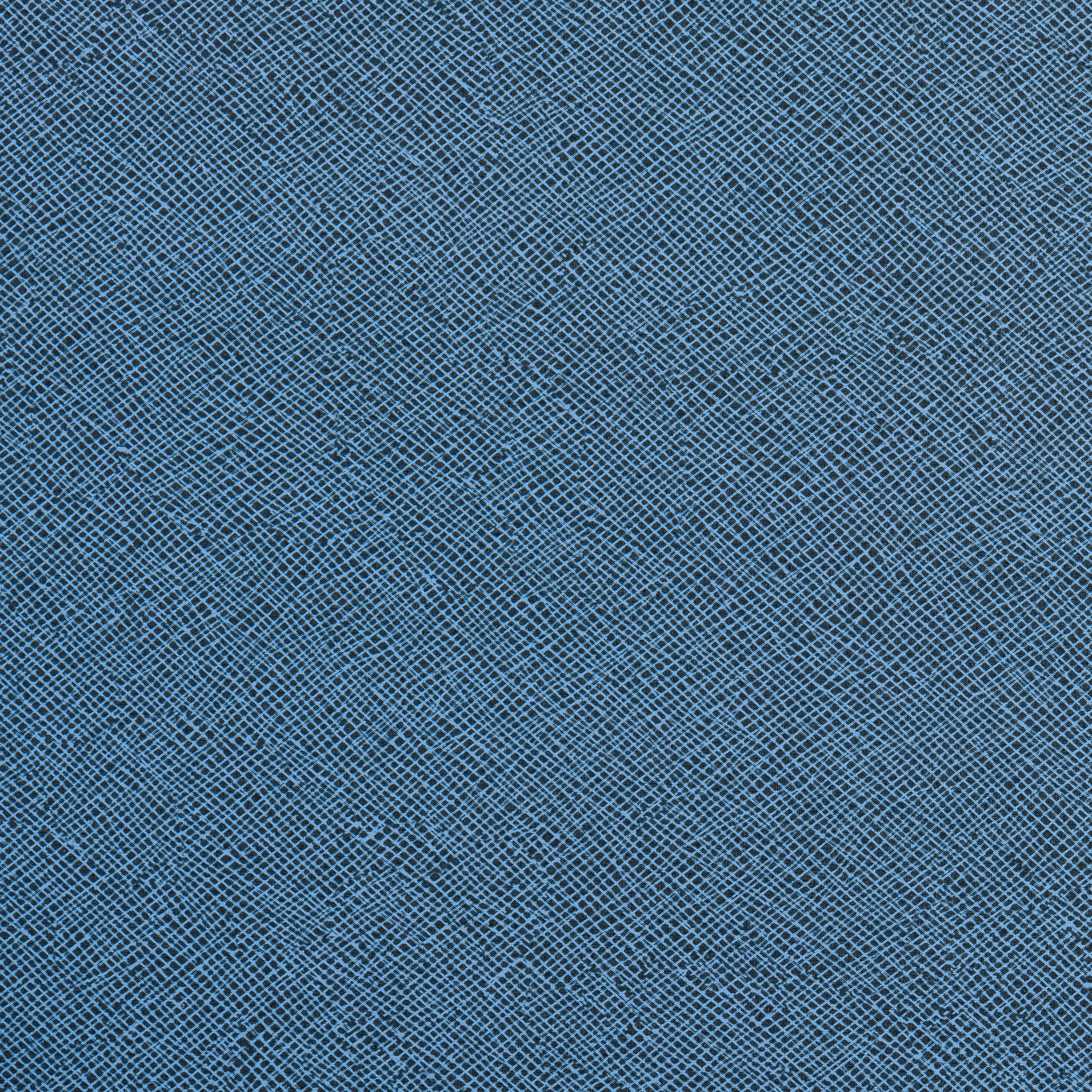 Mistral FRee | Blue Bird