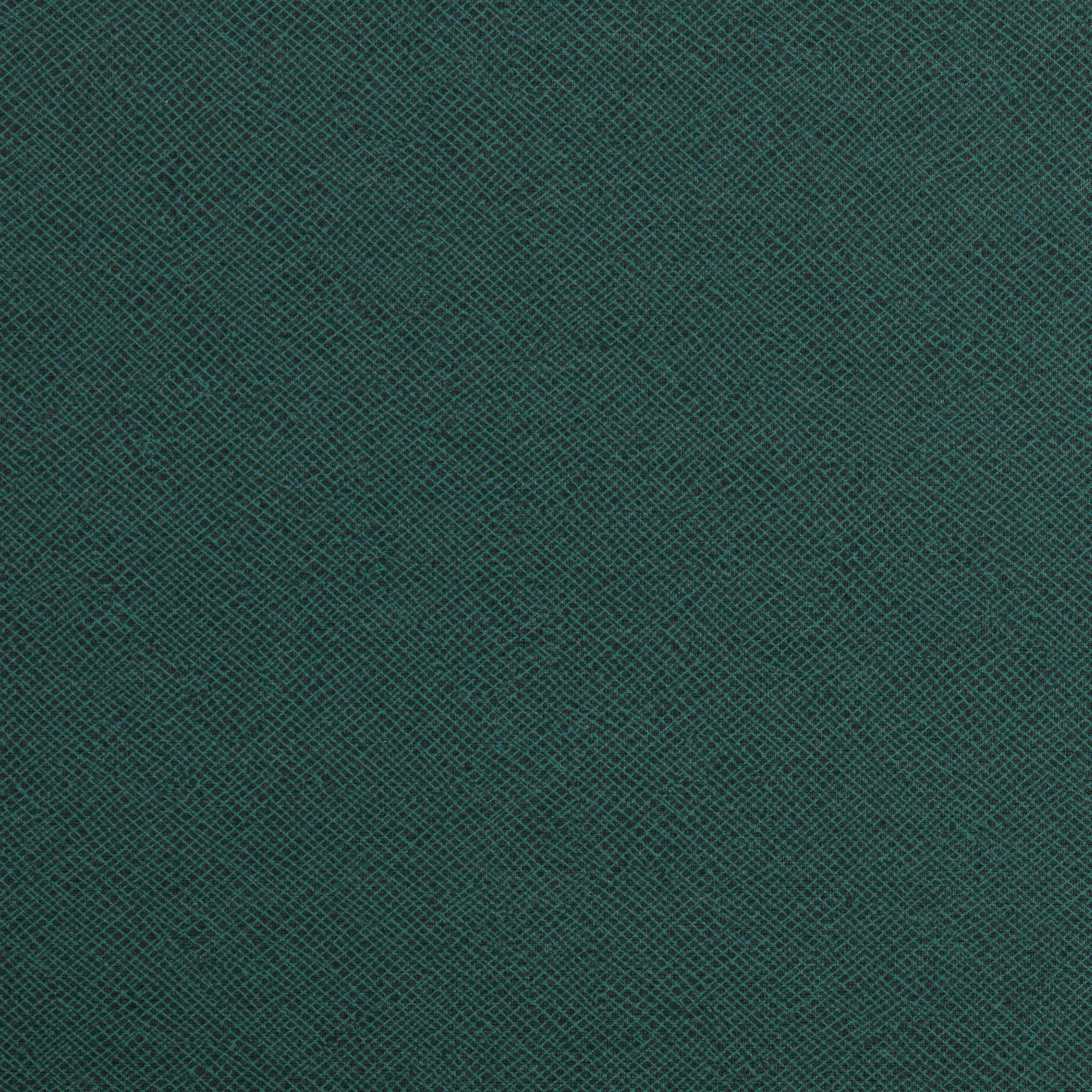 Mistral FRee | Cactus