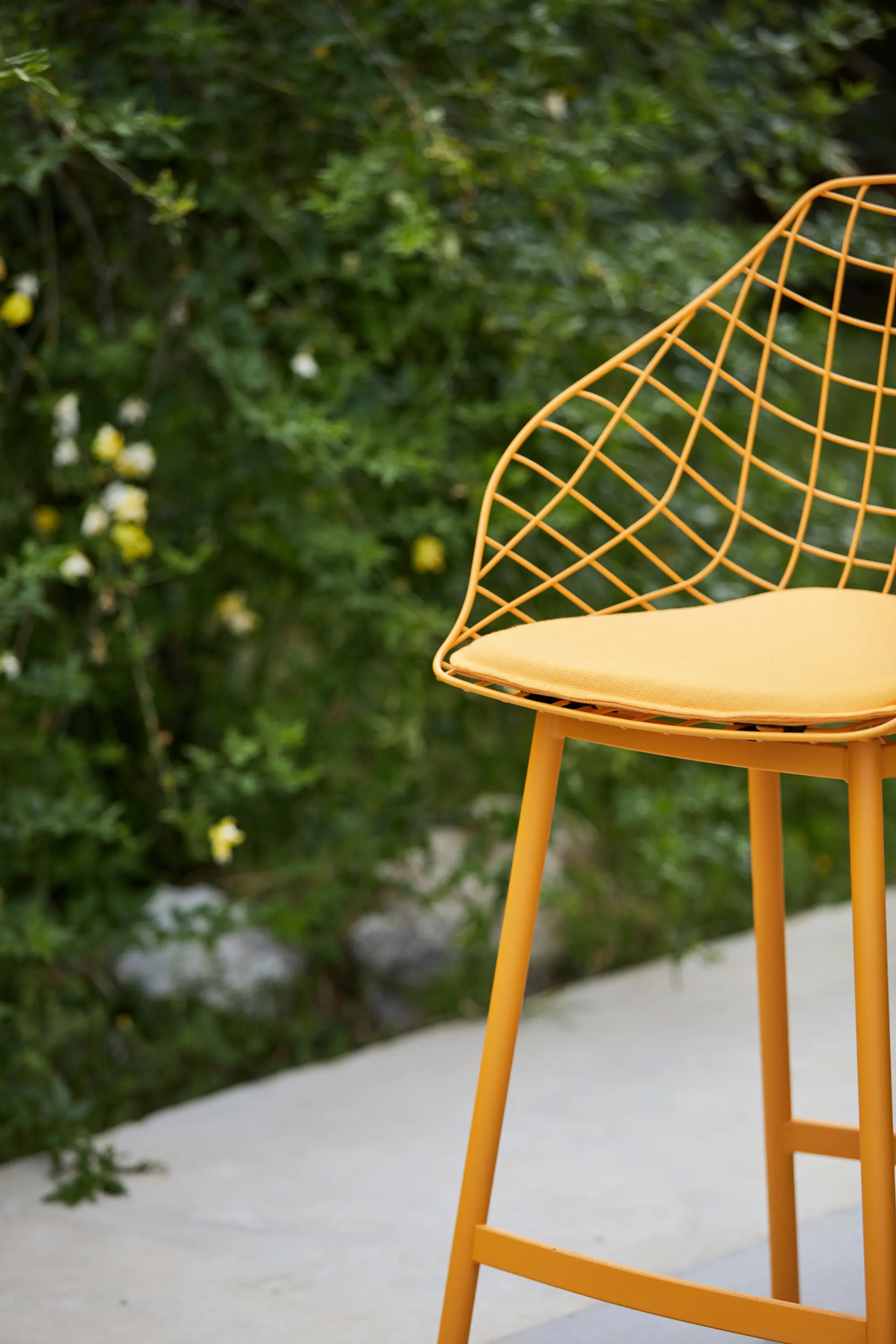 Musola - Canasta with cushion