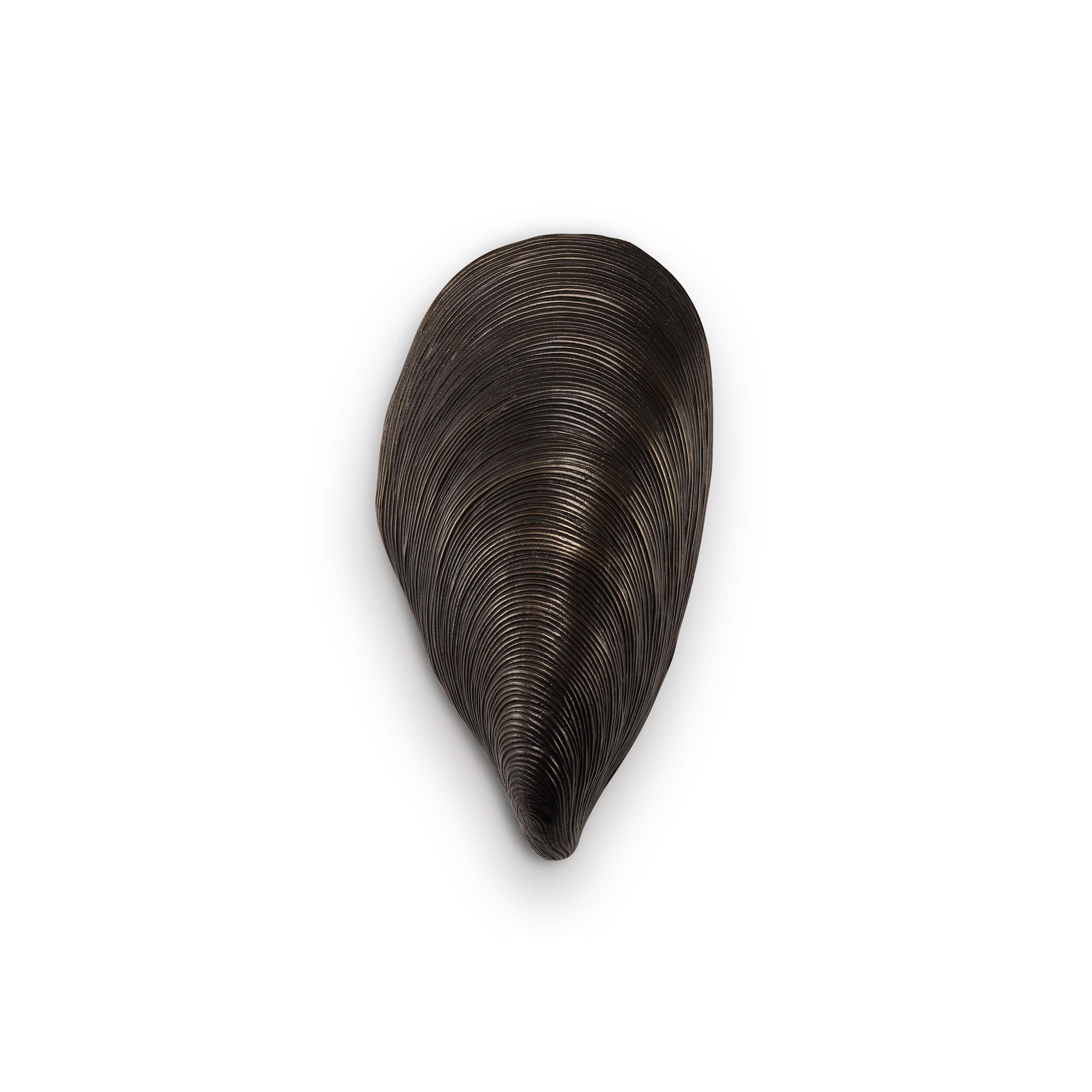 Mussel Shell Bathroom Wall