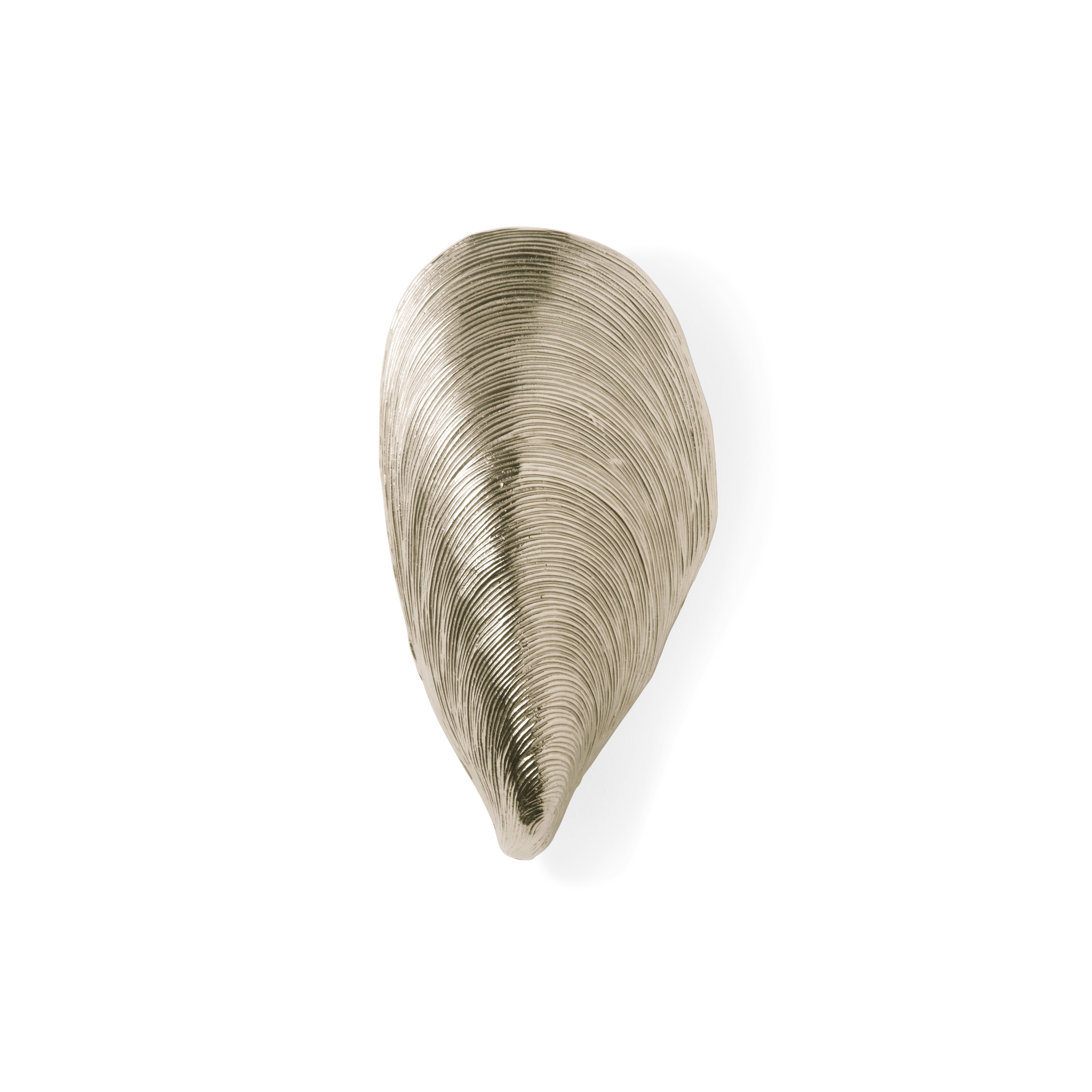 Mussel Shell Bathroom Wall