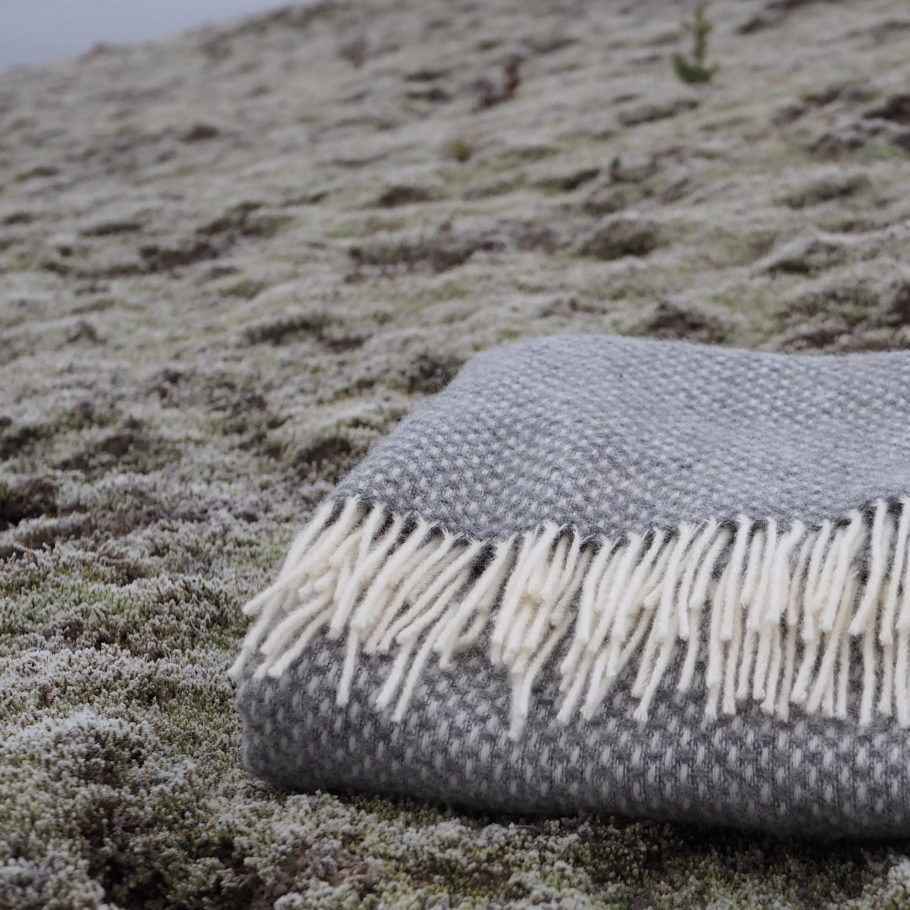 IIIIK INTO Oy - Tundra