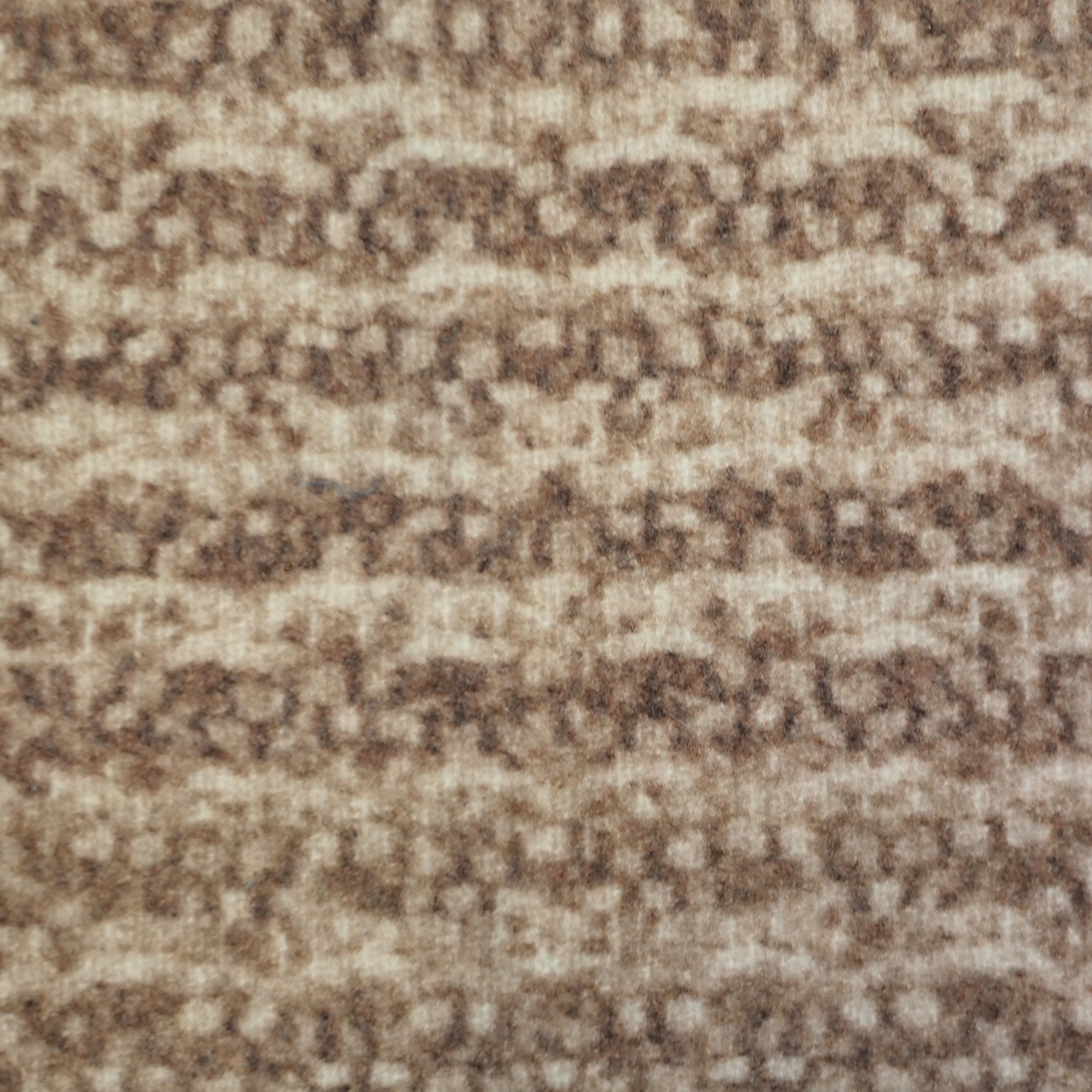 Taru Wool