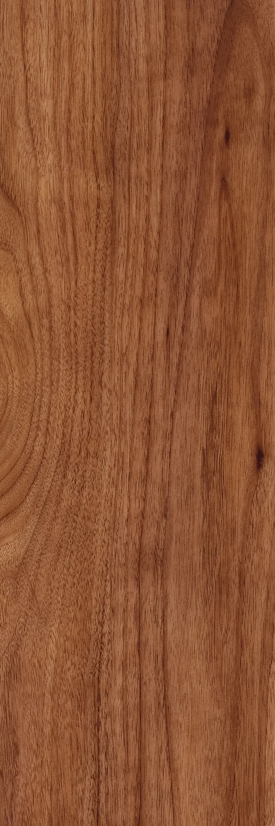 Amtico - Signature Woods - 1,0 mm | Teak