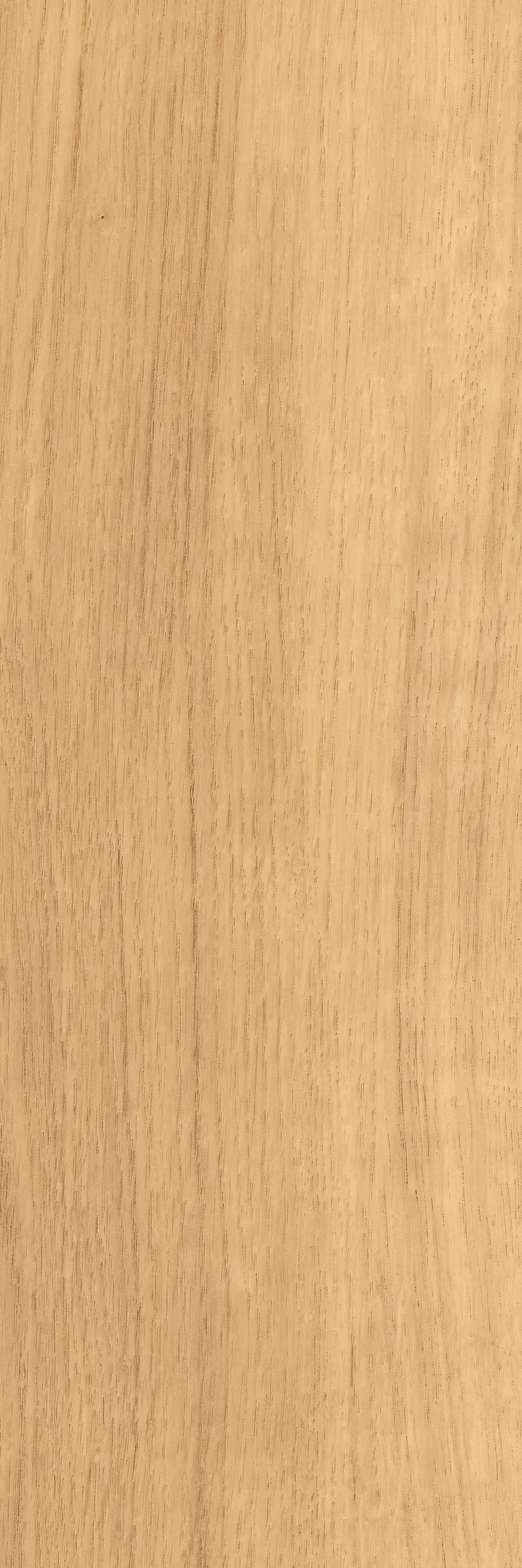 Amtico - Signature Woods - 1,0 mm | White Oak