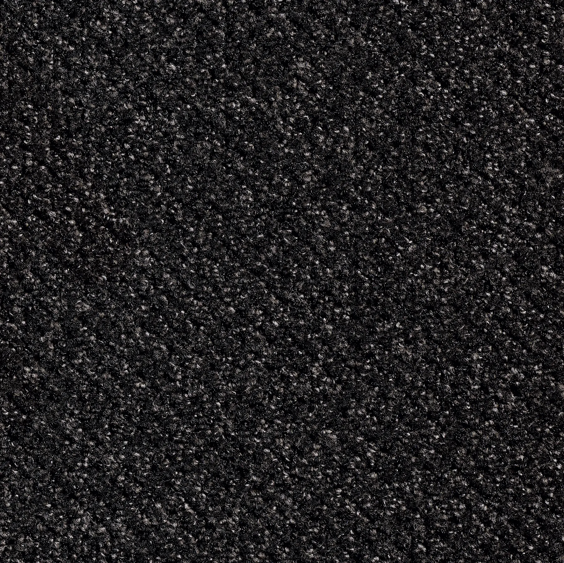 Amtico - Entryway - Ruffian | Ebony Earth