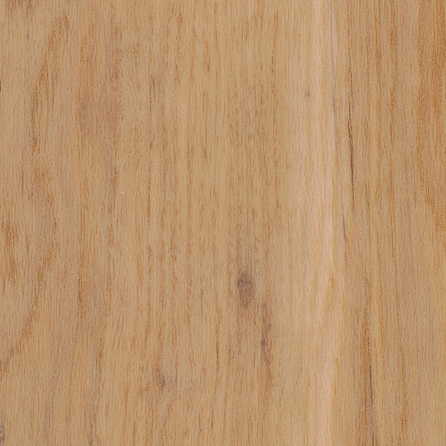 Display product Spacia Woods - 0,55 mm | Canopy Oak from manufacturer Amtico