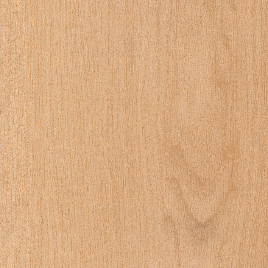Display product Spacia Woods - 0,55 mm | Warm Maple from manufacturer Amtico