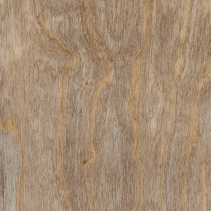 Display product Spacia Woods - 0,55 mm | Bleached Elm from manufacturer Amtico