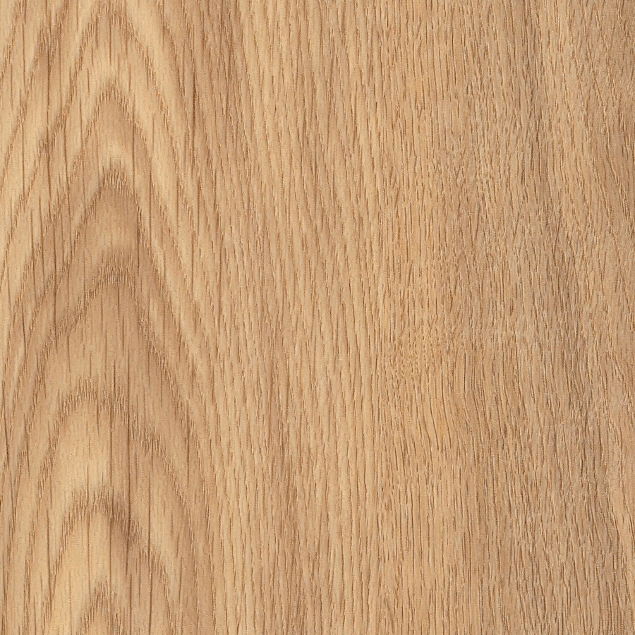 Display product Spacia Woods - 0,55 mm | Pale Ash from manufacturer Amtico