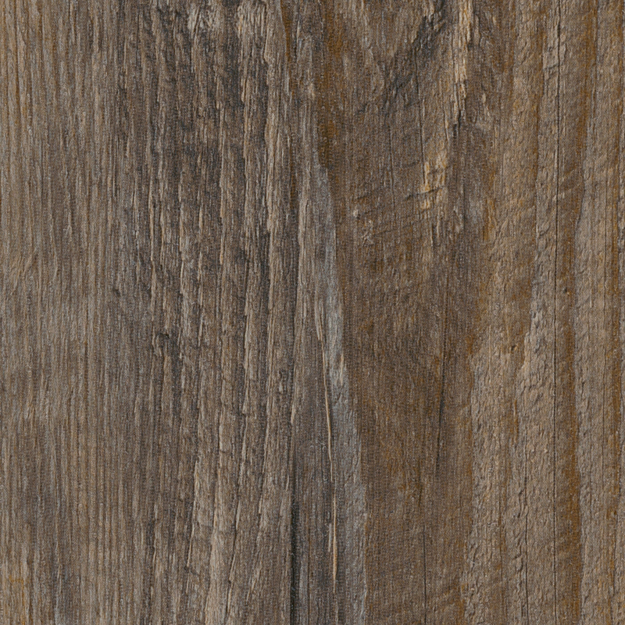 Display product Spacia Woods - 0,55 mm | Estuary Pine from manufacturer Amtico