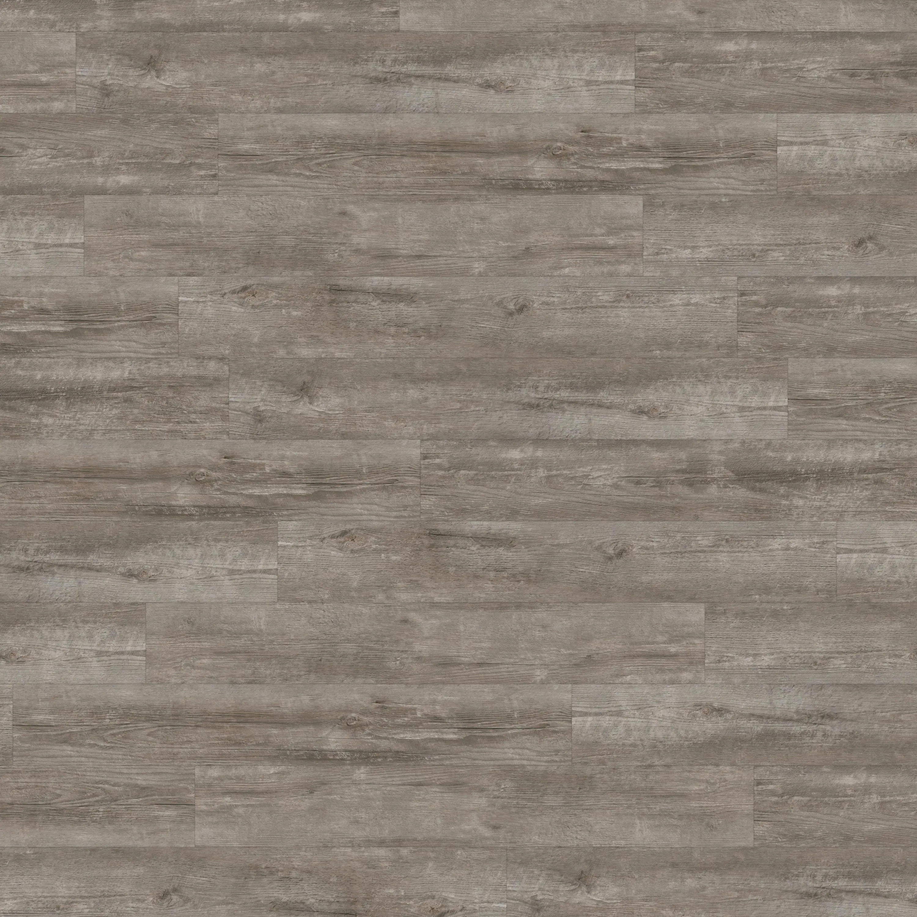 Amtico - Spacia Woods - 0,55 mm | Coastal Pine