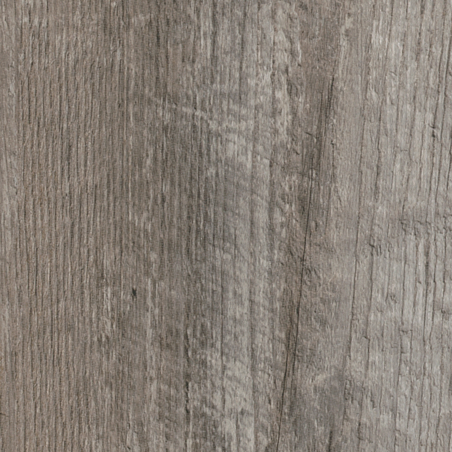Display product Spacia Woods - 0,55 mm | Coastal Pine from manufacturer Amtico