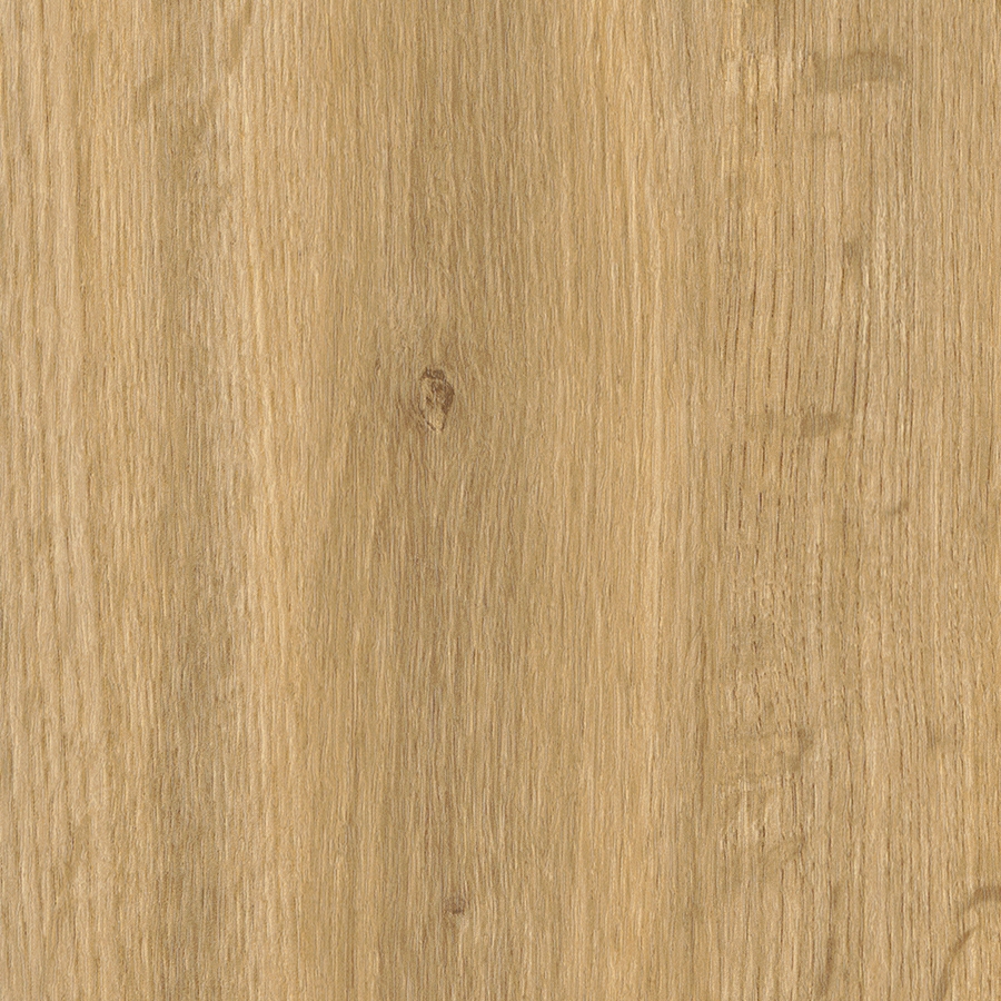 Display product First Woods - 0,3 mm I Falmouth Oak from manufacturer Amtico
