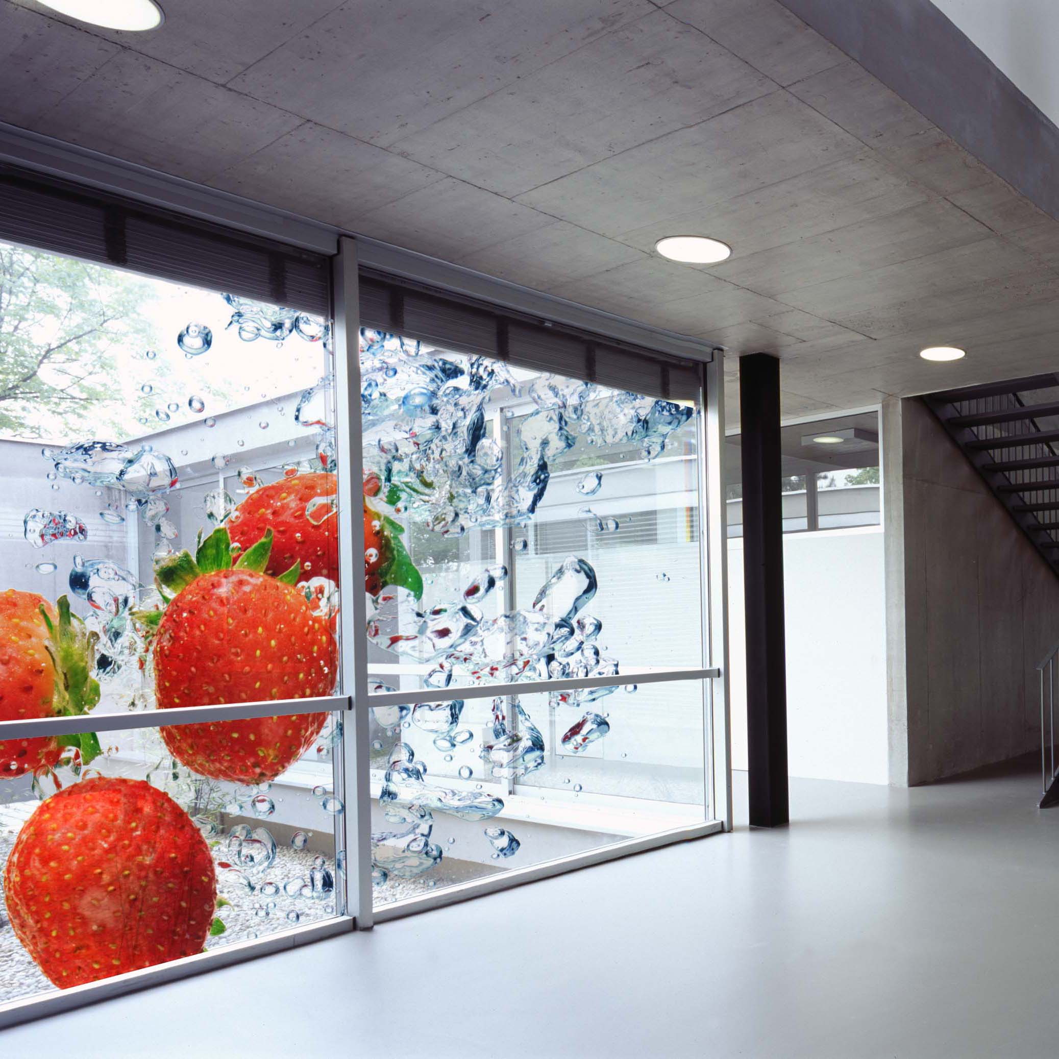 Produkt DPF 6000RP Clear des Herstellers Arlon Graphics anzeigen
