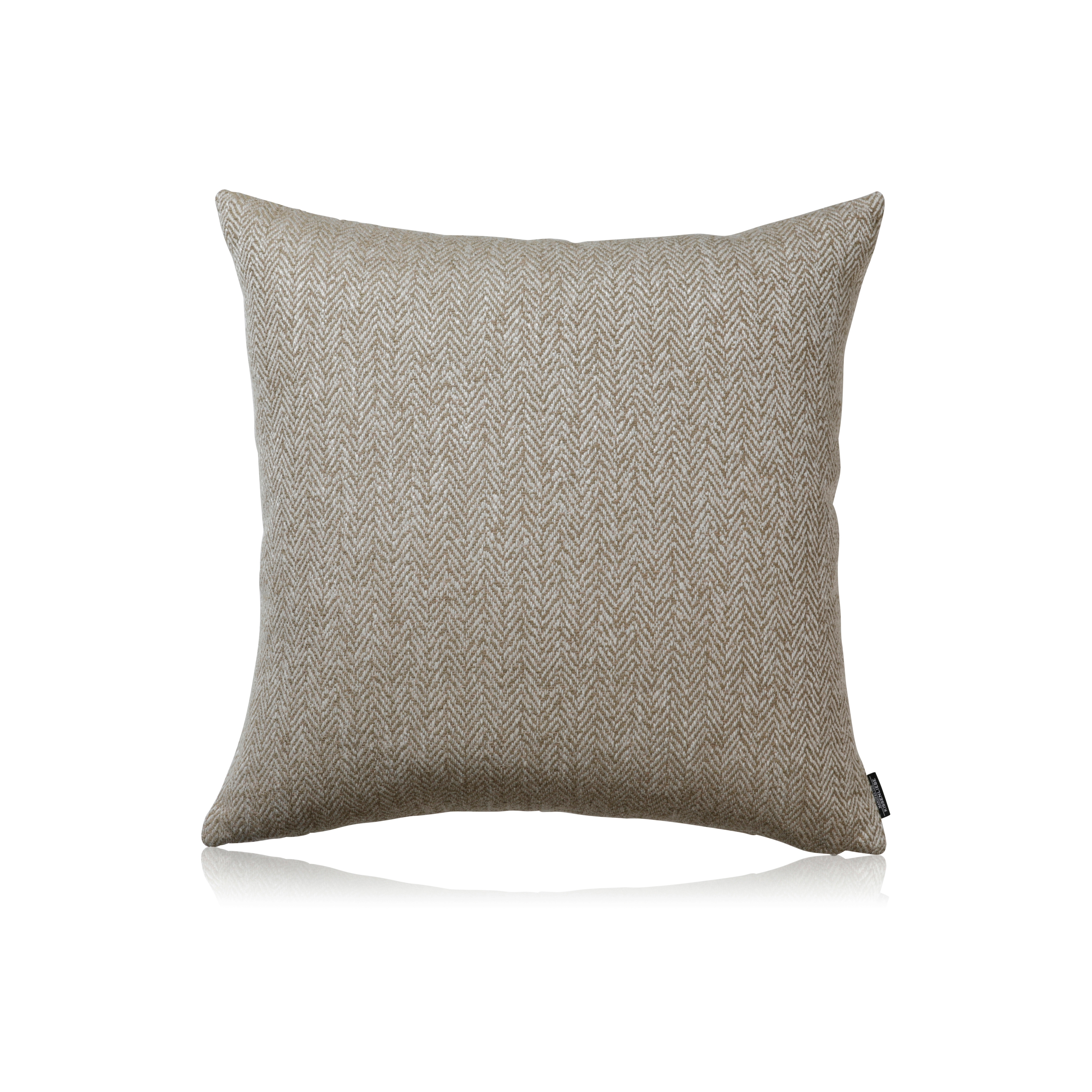 Liparic olive |60x60|