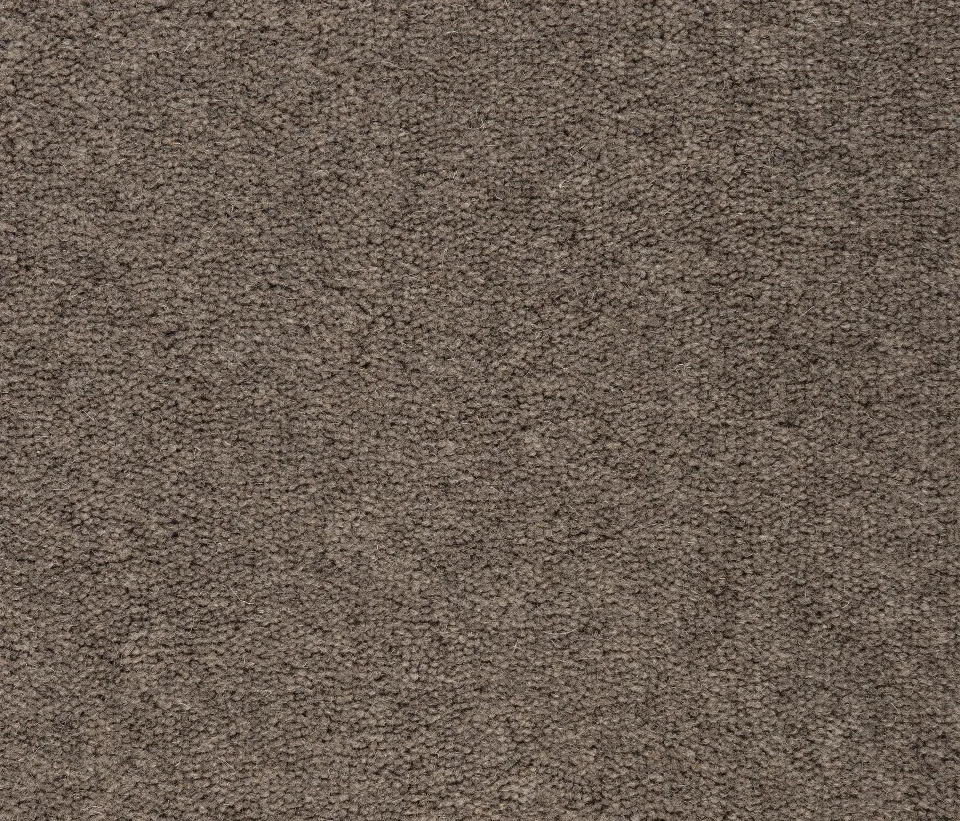 Best Wool - Berlin 139 Shadow