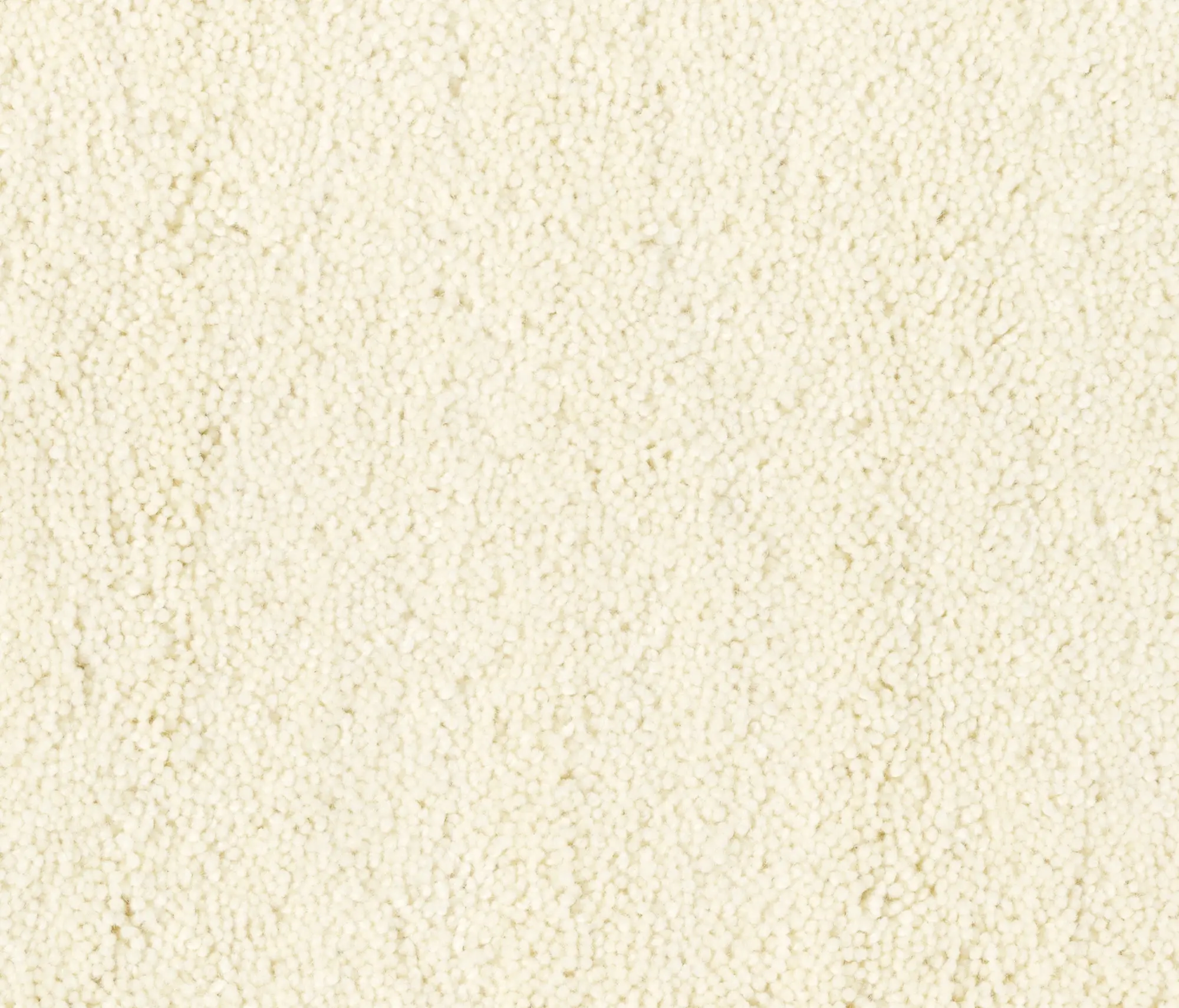 Best Wool - Feather